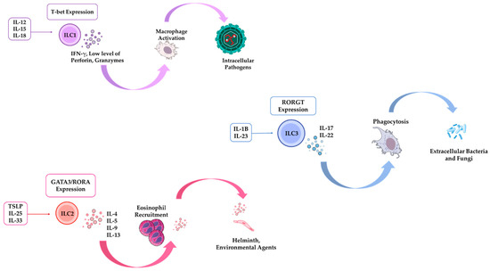 Pathogens 14 00794 g002
