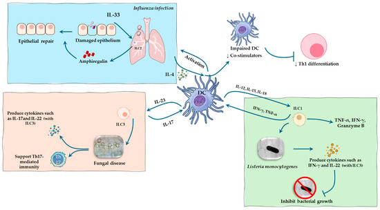 Pathogens 14 00794 g003