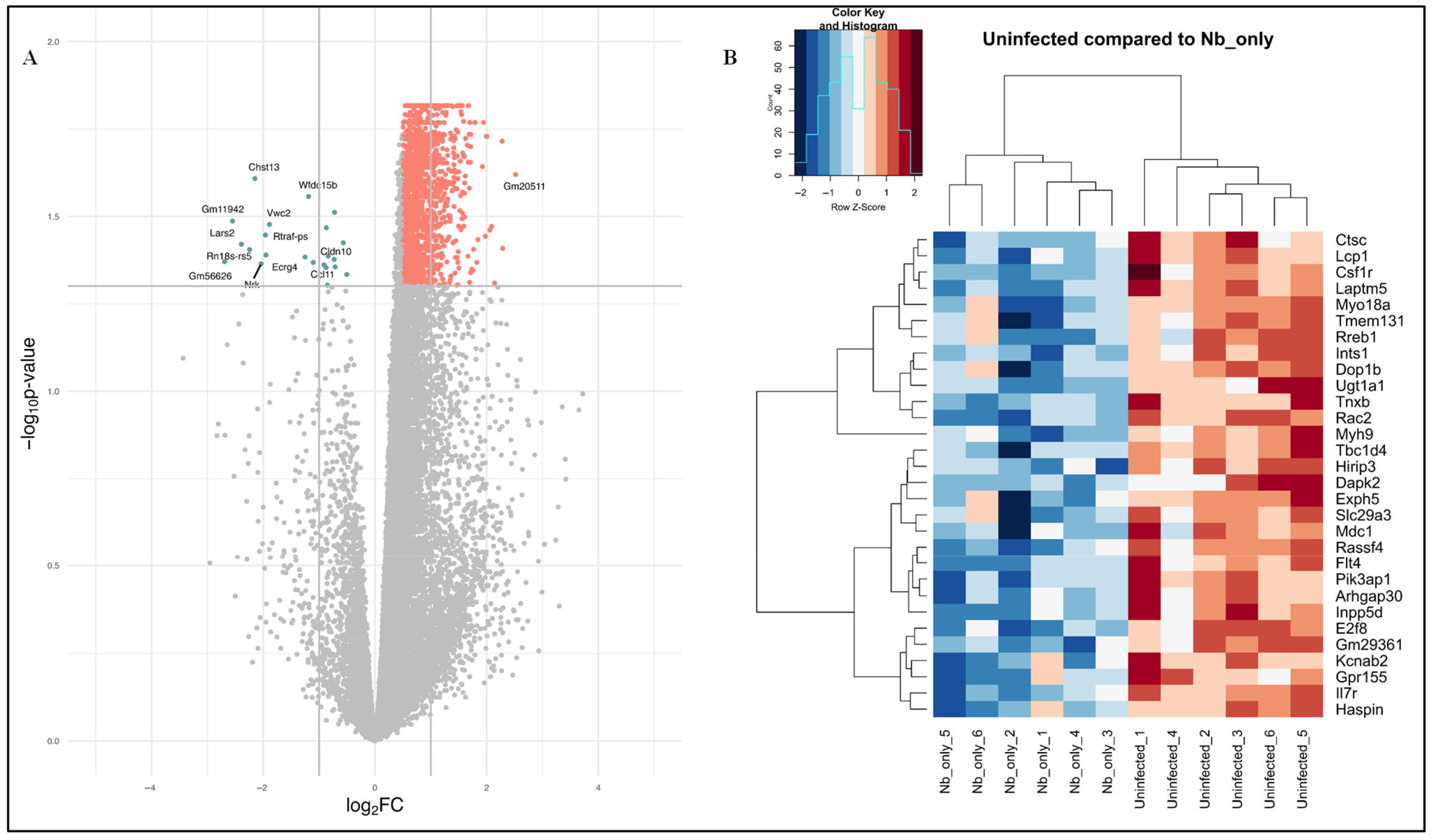 Pathogens 14 00795 g001 Pathogens 14 00795 g001
