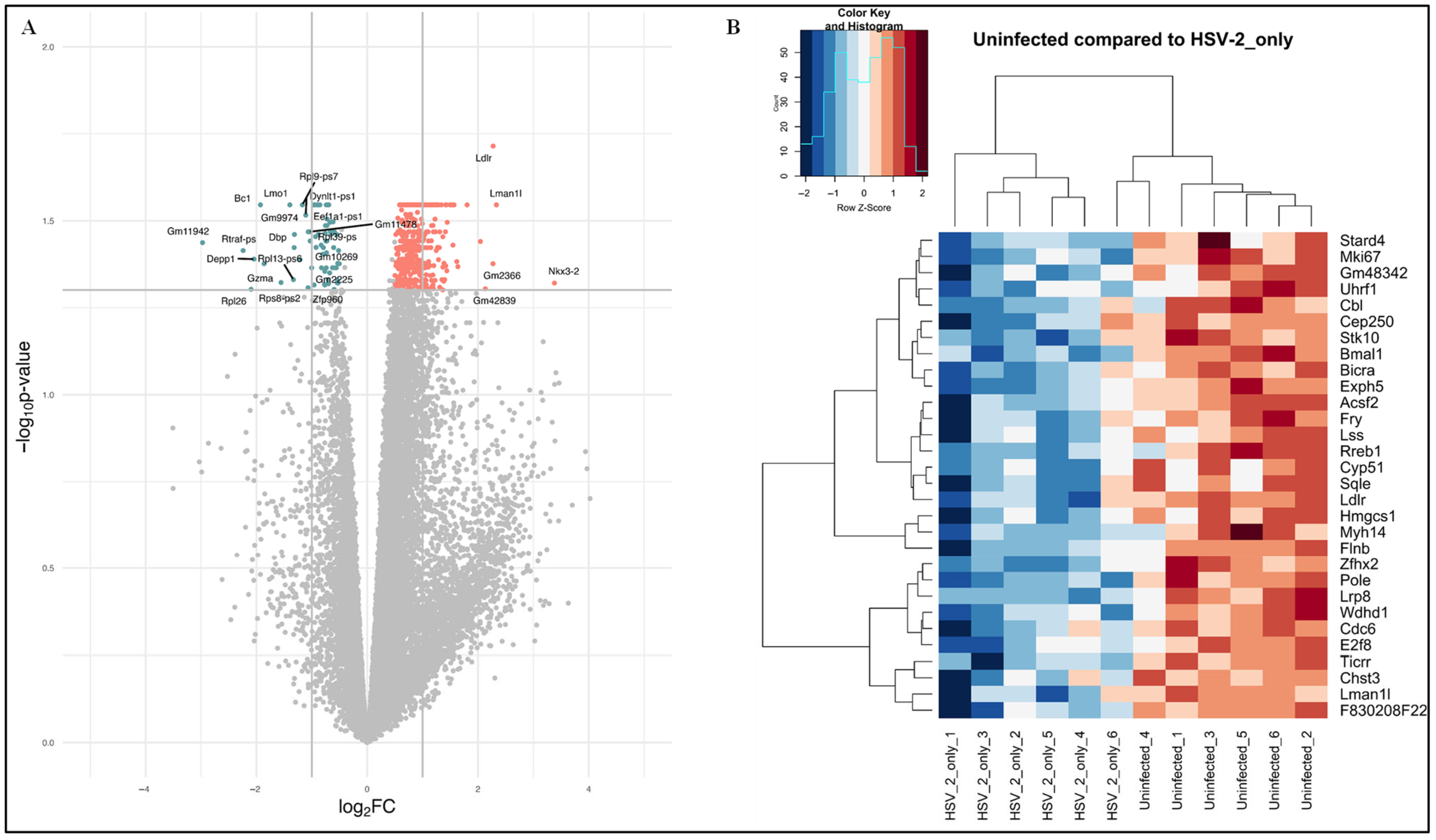 Pathogens 14 00795 g002 Pathogens 14 00795 g002