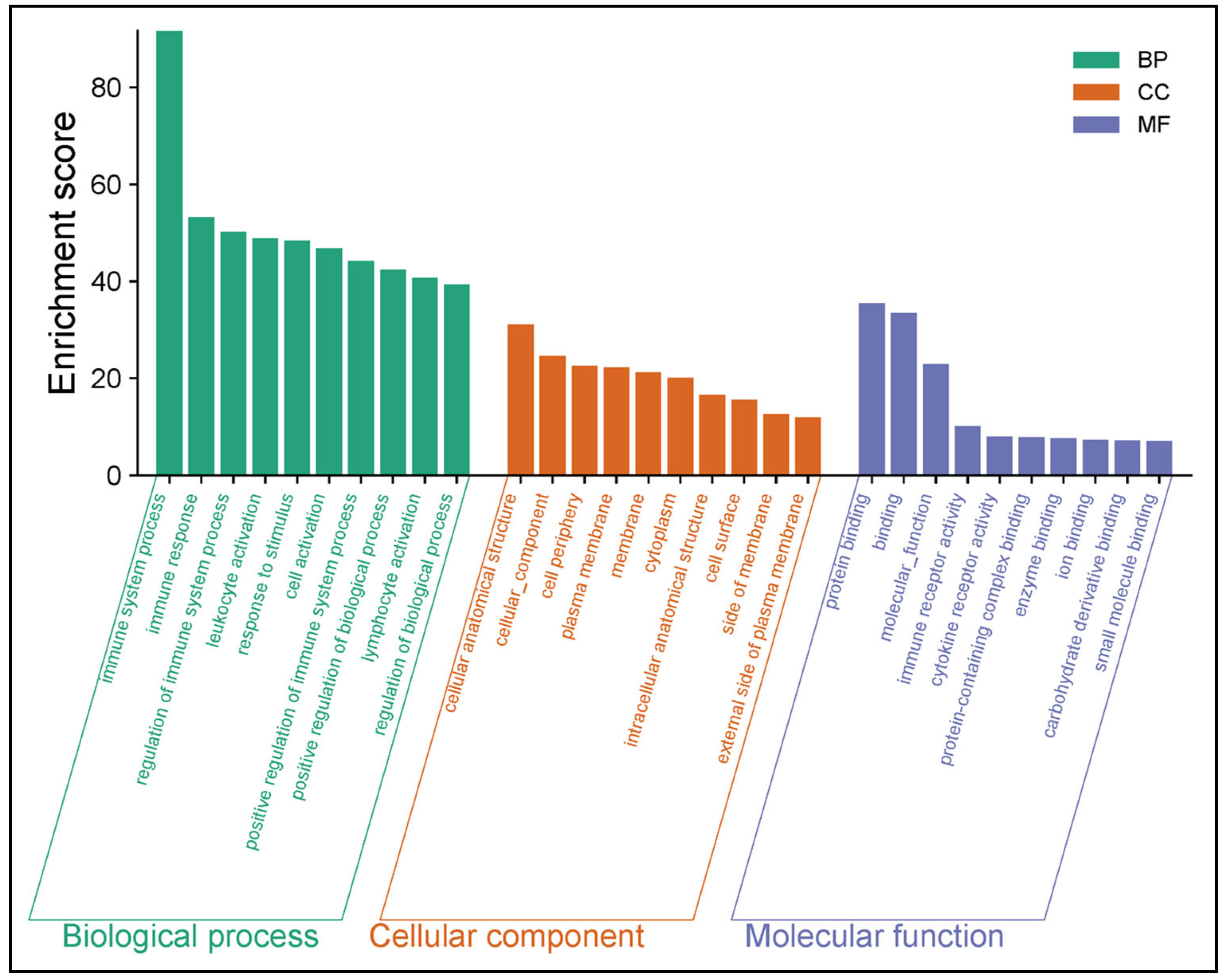 Pathogens 14 00795 g004 Pathogens 14 00795 g004