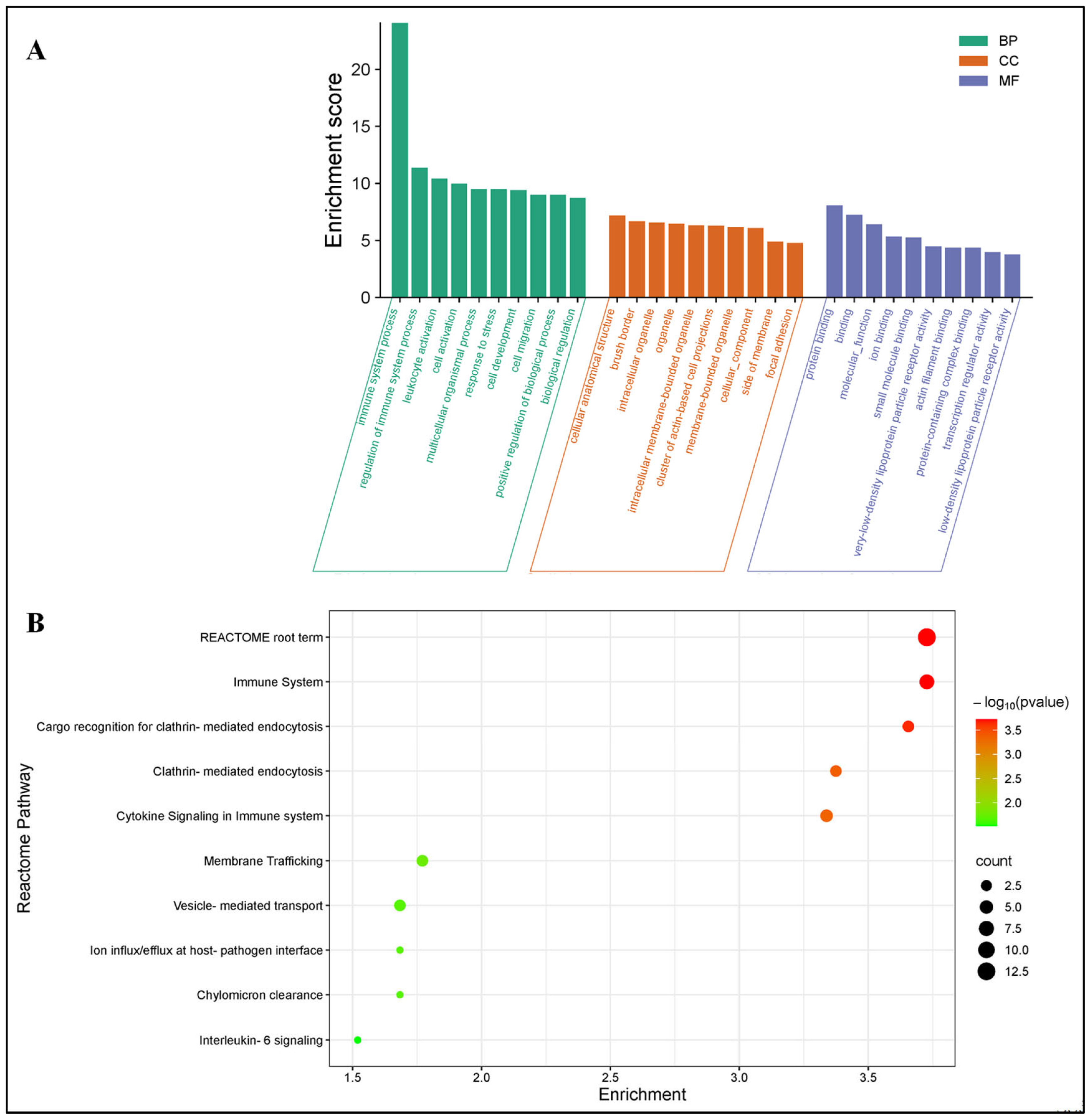 Pathogens 14 00795 g006 Pathogens 14 00795 g006