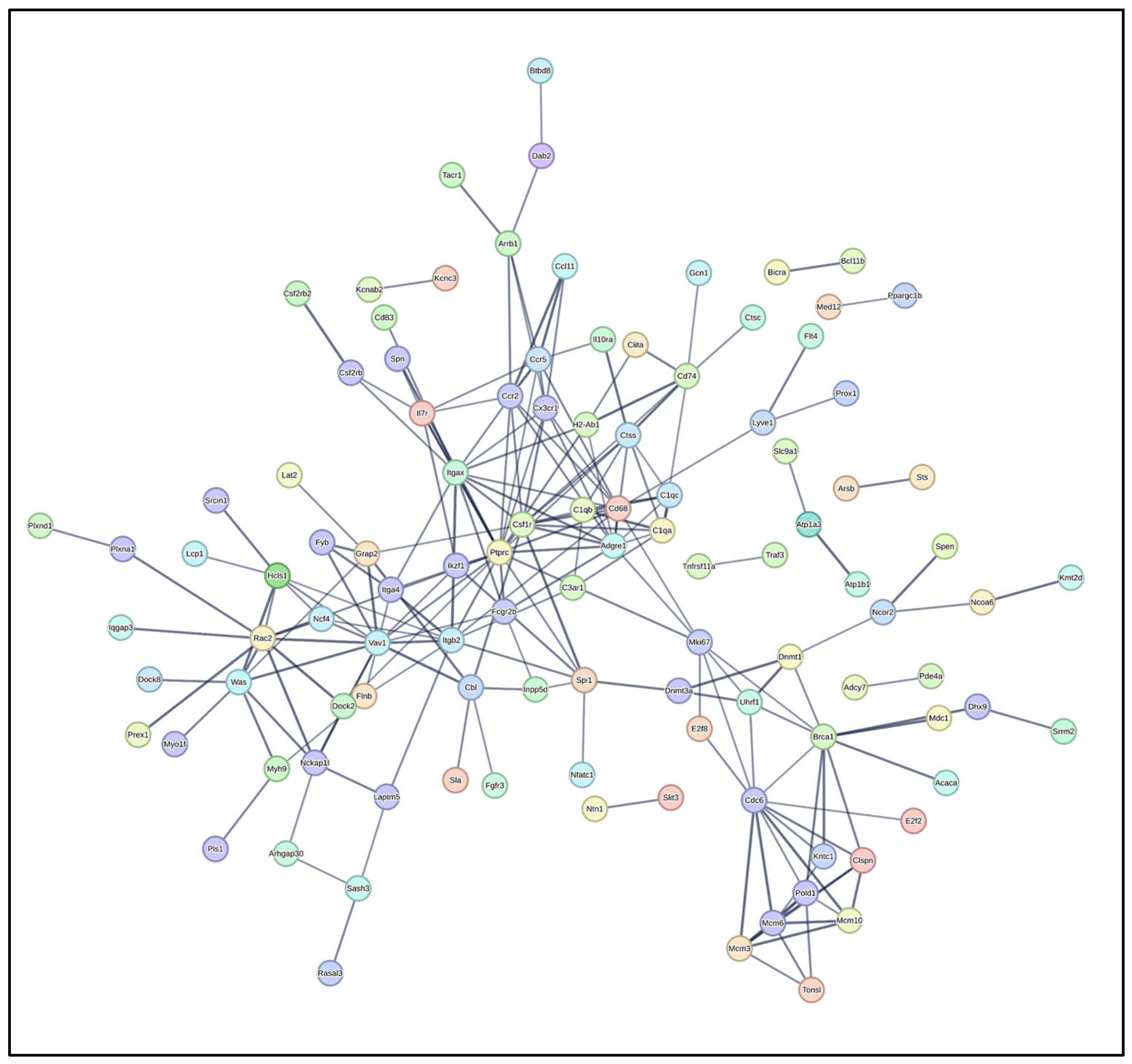 Pathogens 14 00795 g007 Pathogens 14 00795 g007
