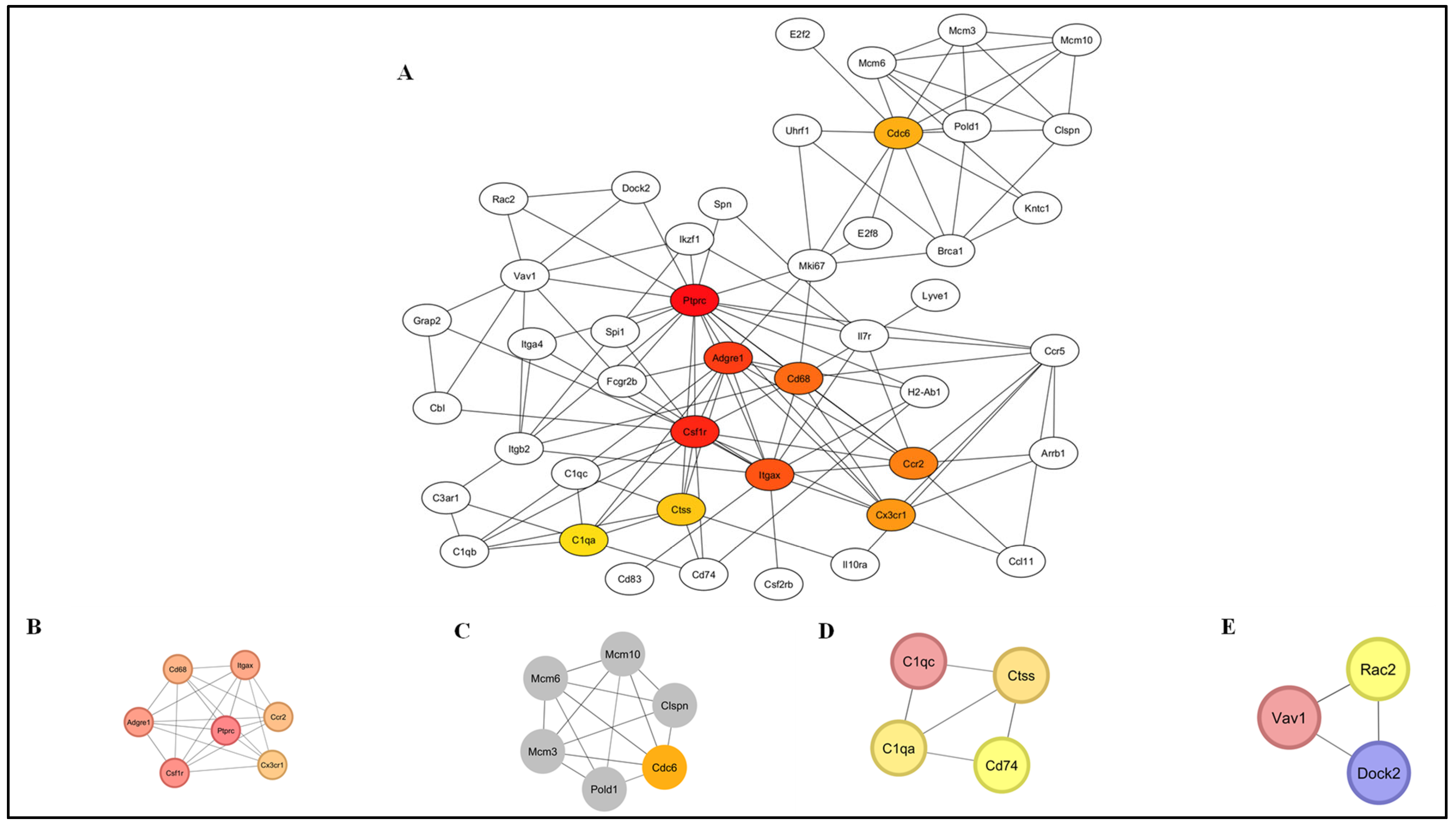 Pathogens 14 00795 g008 Pathogens 14 00795 g008