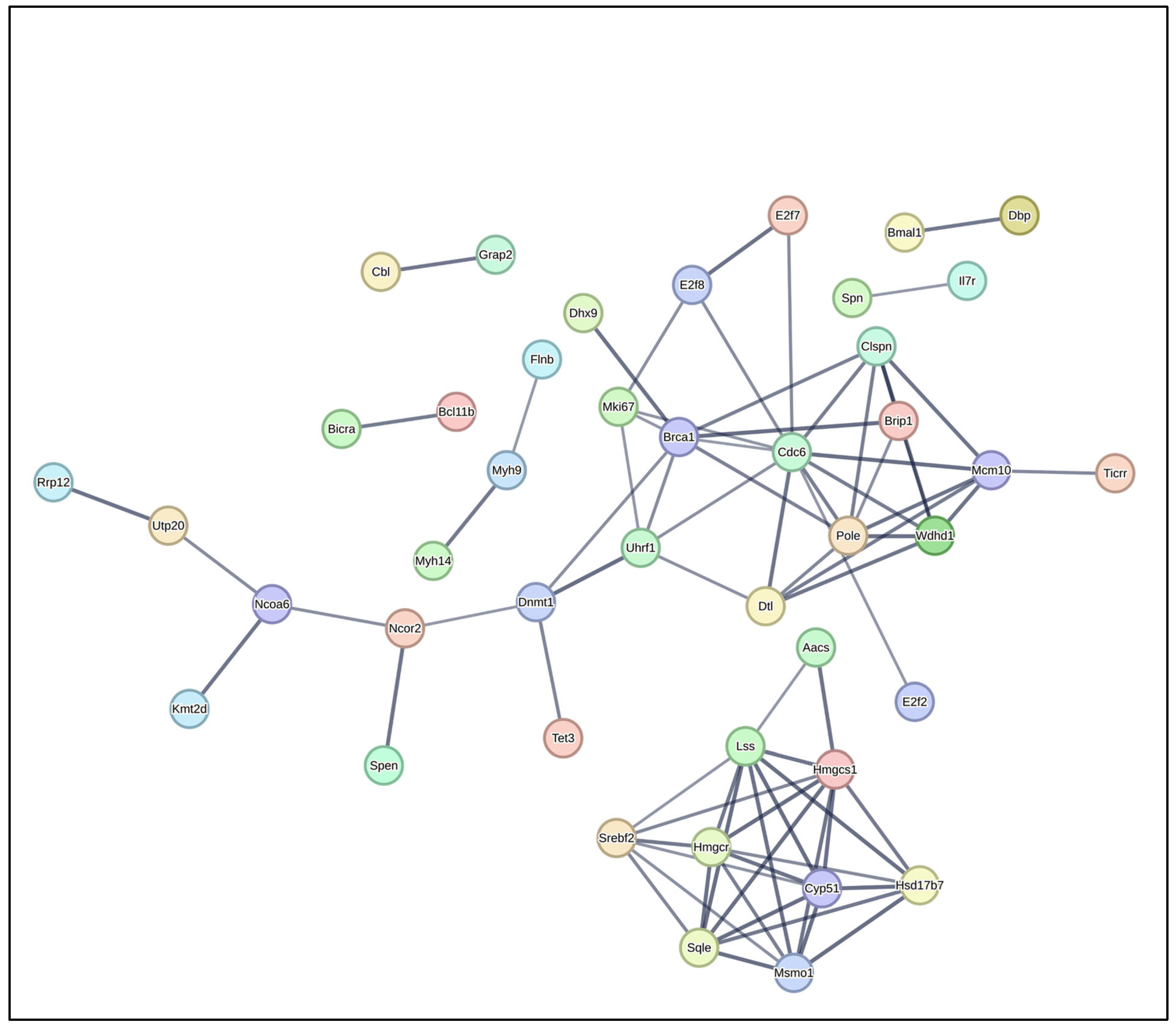 Pathogens 14 00795 g009 Pathogens 14 00795 g009