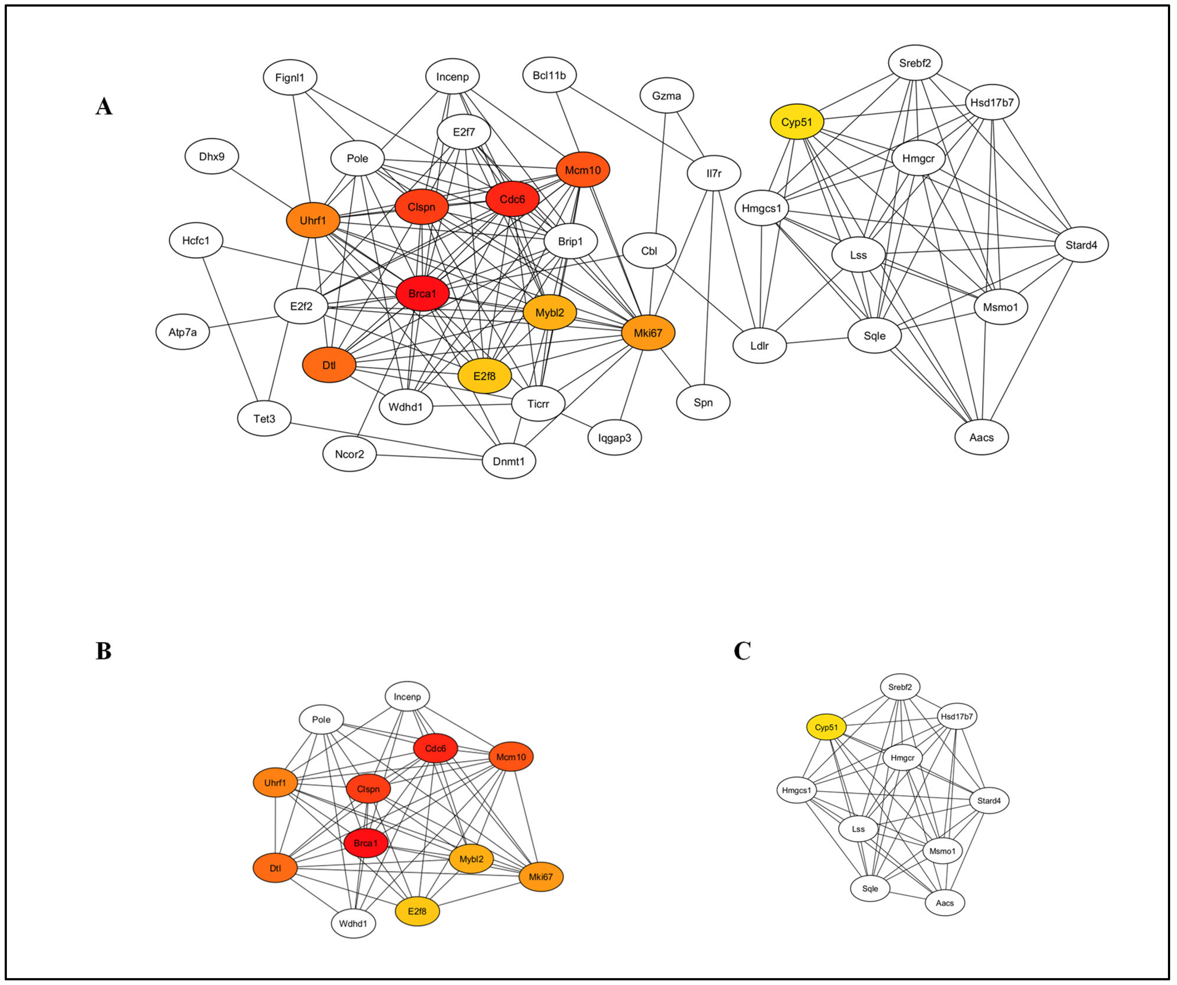 Pathogens 14 00795 g010 Pathogens 14 00795 g010