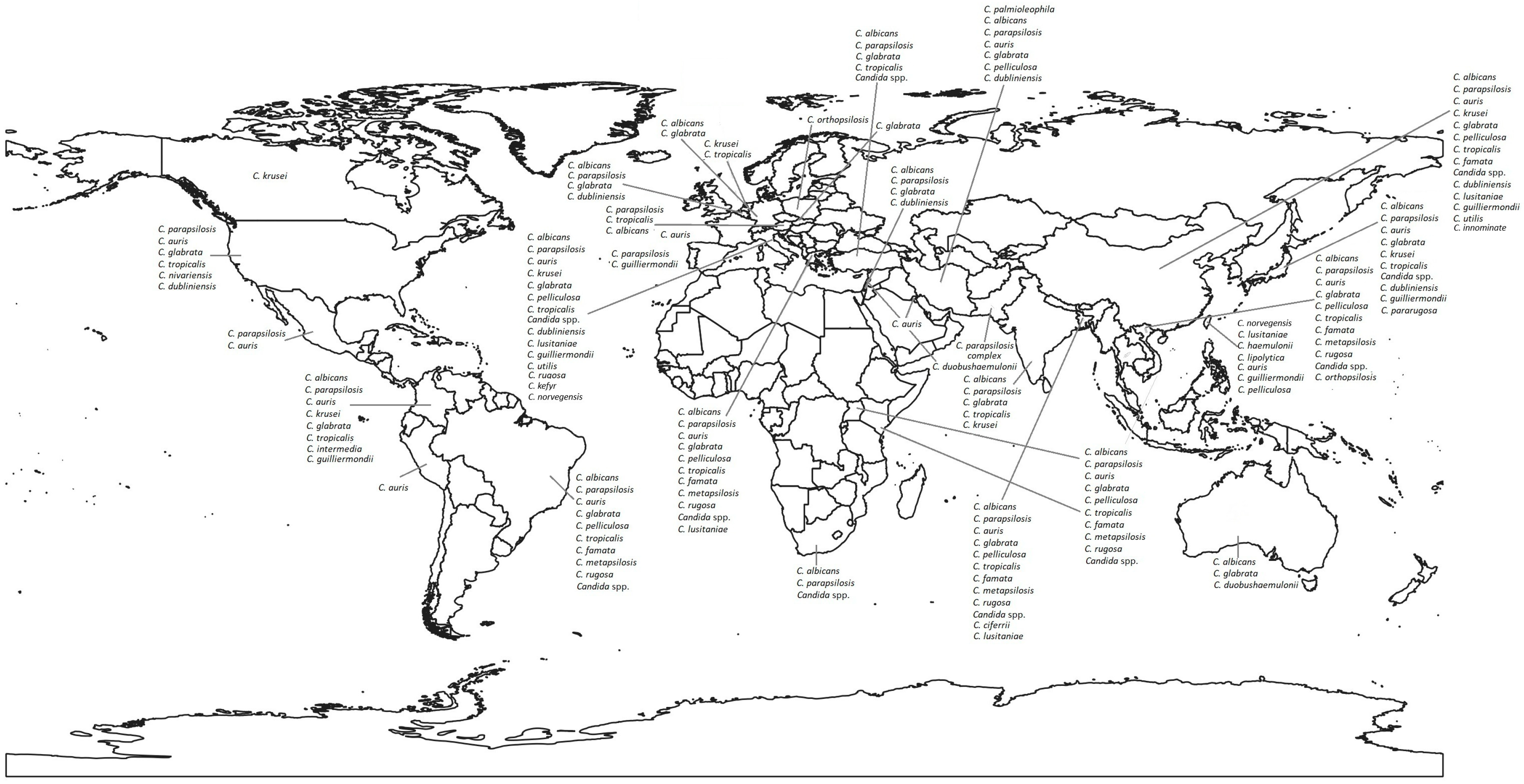 Pathogens 14 00806 g001