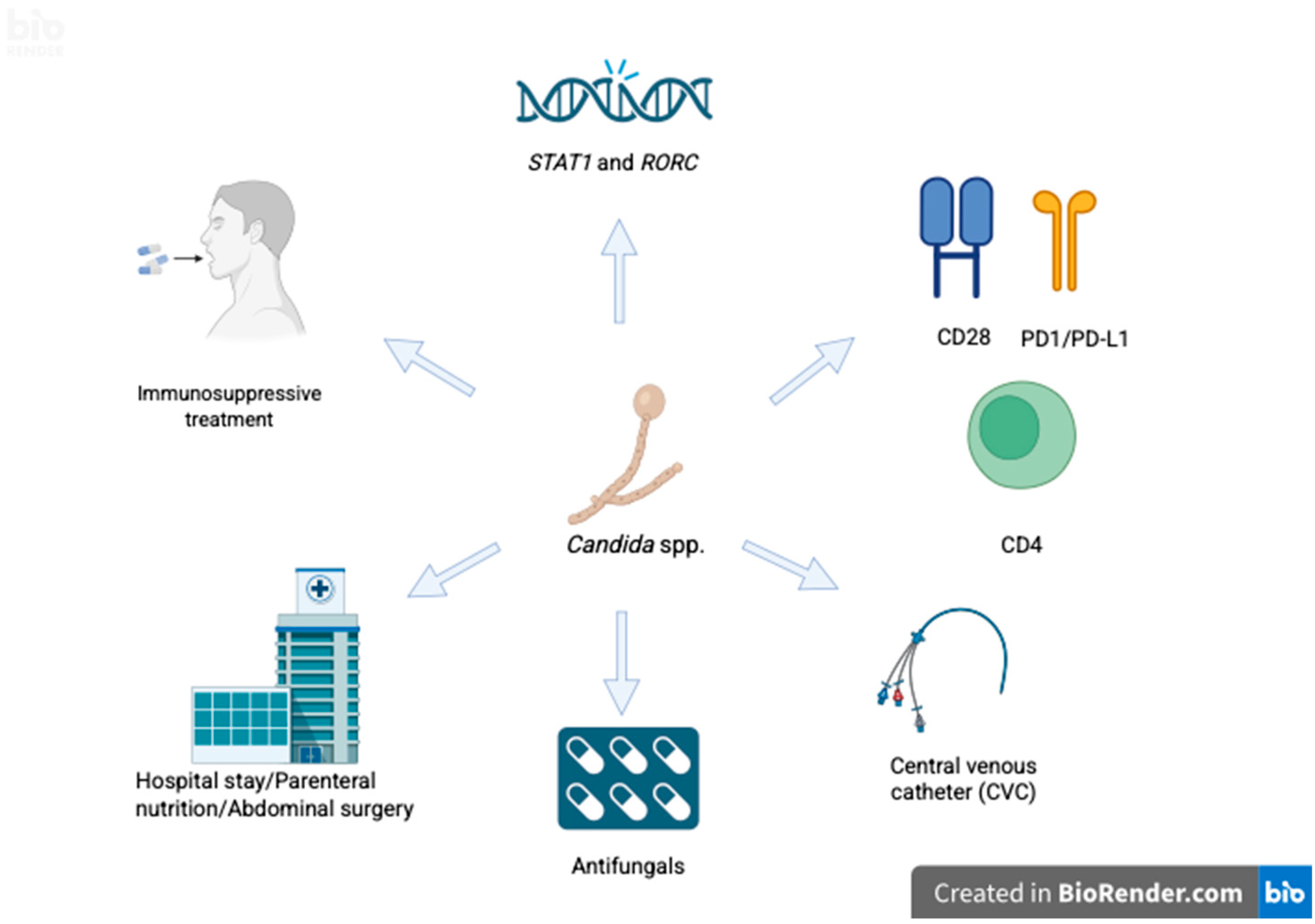 Pathogens 14 00806 g002