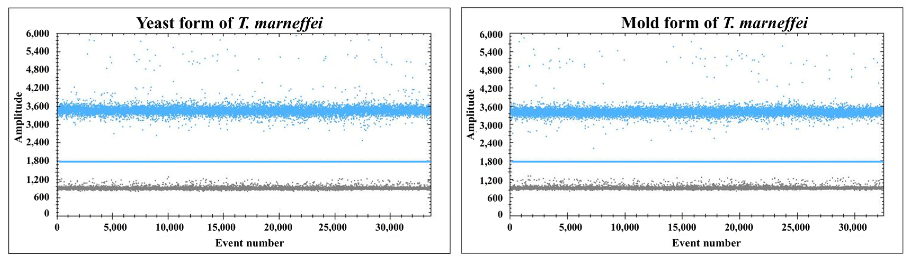 Pathogens 14 00817 g002 Pathogens 14 00817 g002