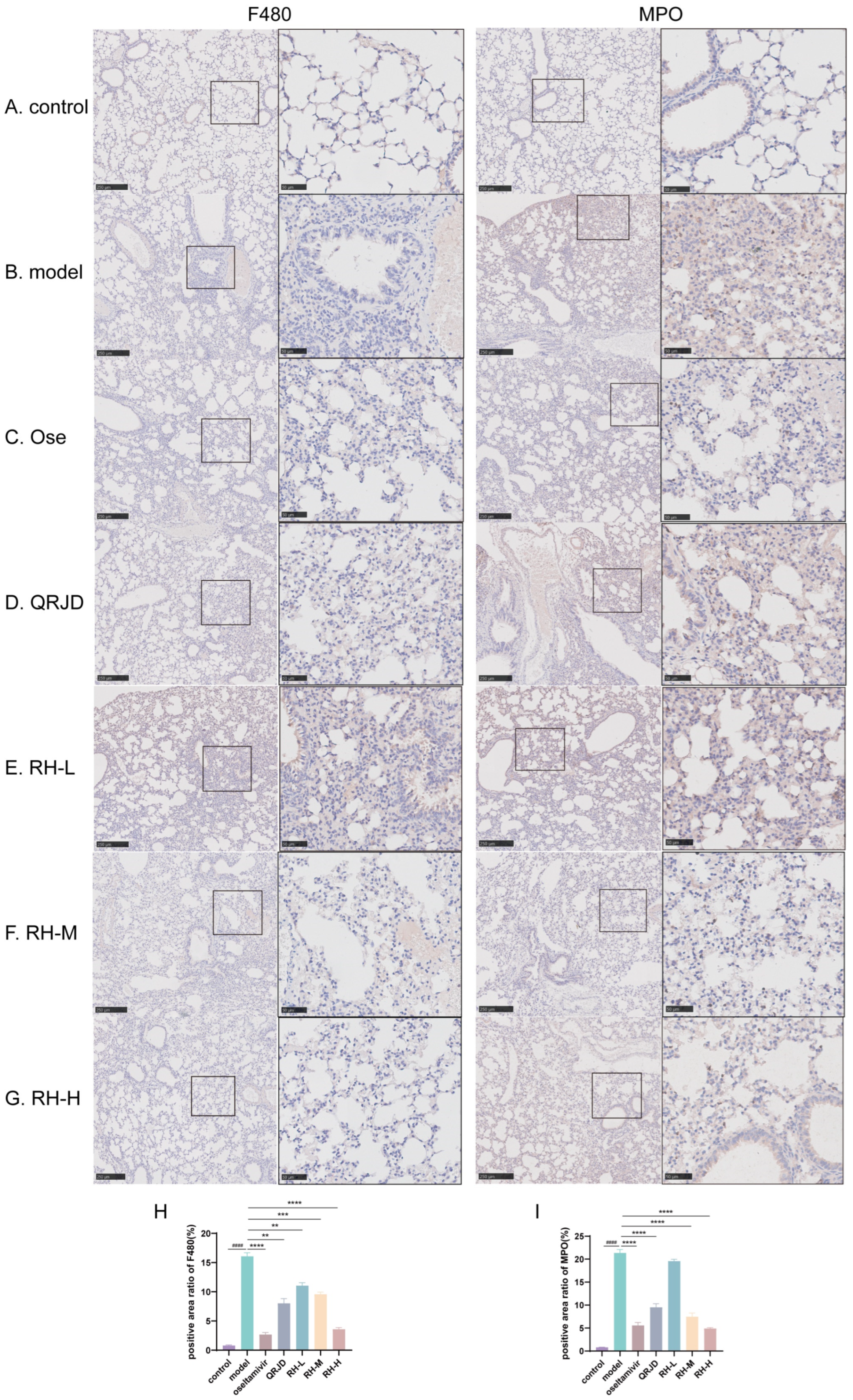 Pathogens 14 00834 g006 Pathogens 14 00834 g006