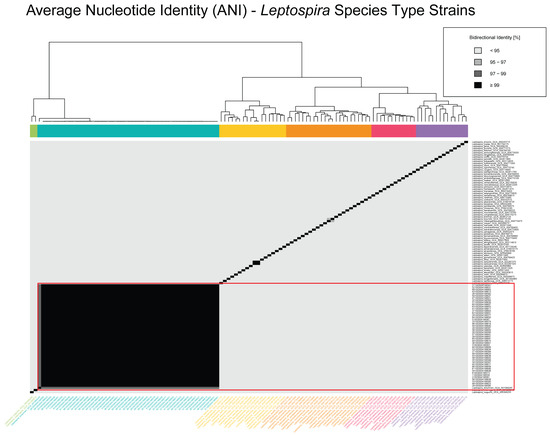 Pathogens 14 00860 g001