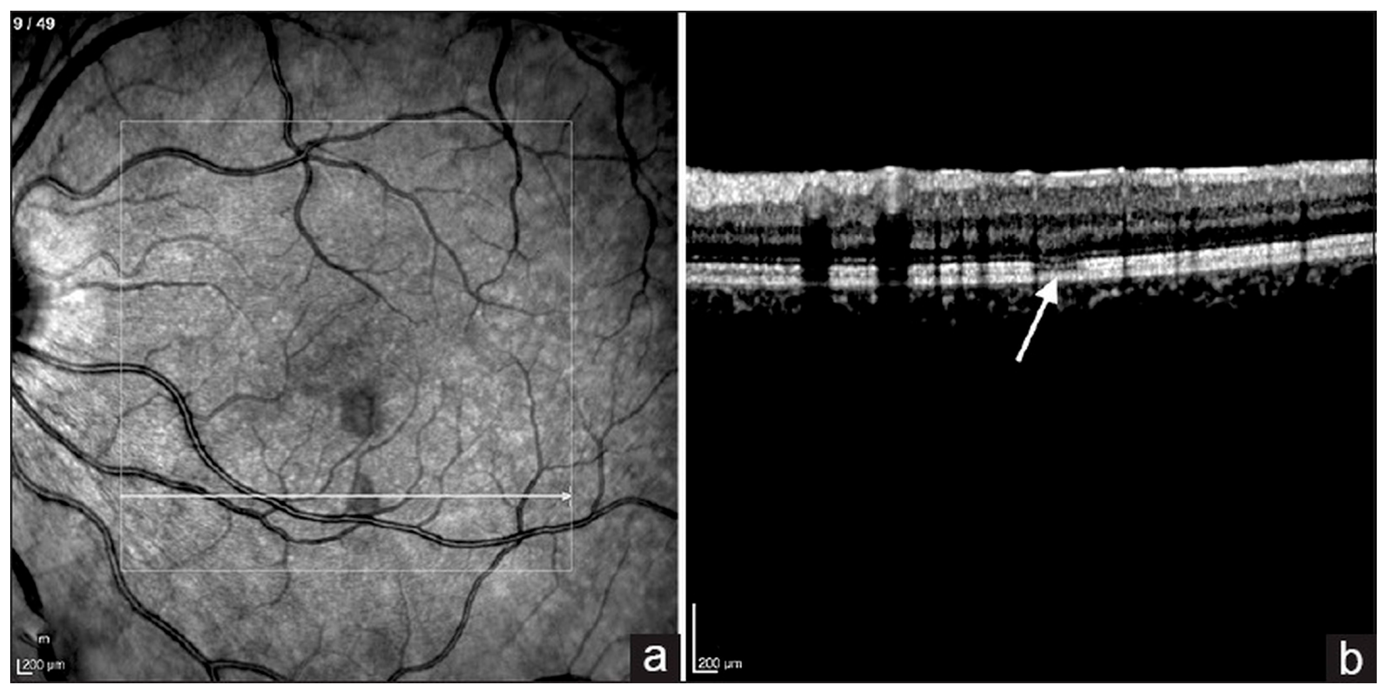 Pathogens 14 00872 g002
