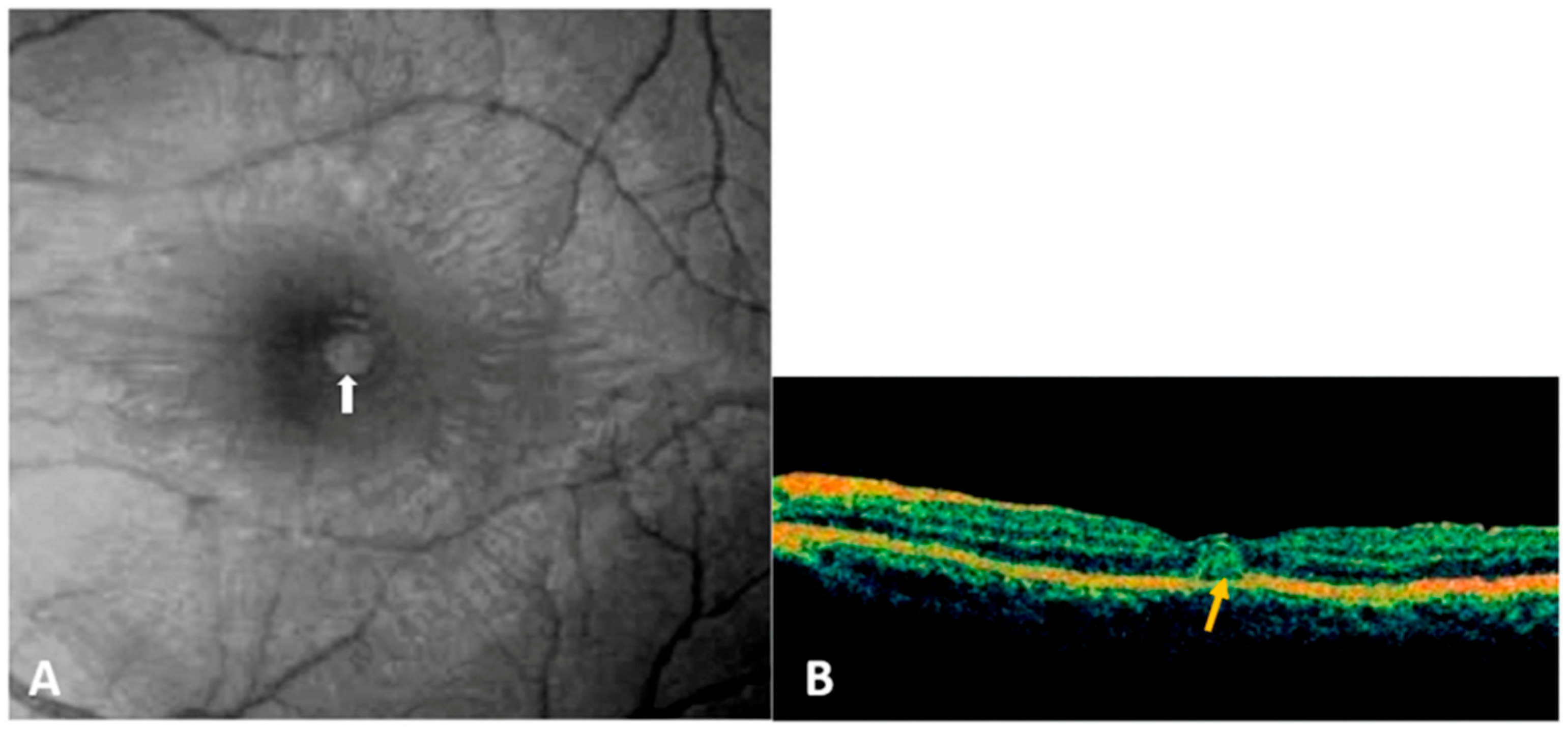 Pathogens 14 00872 g003