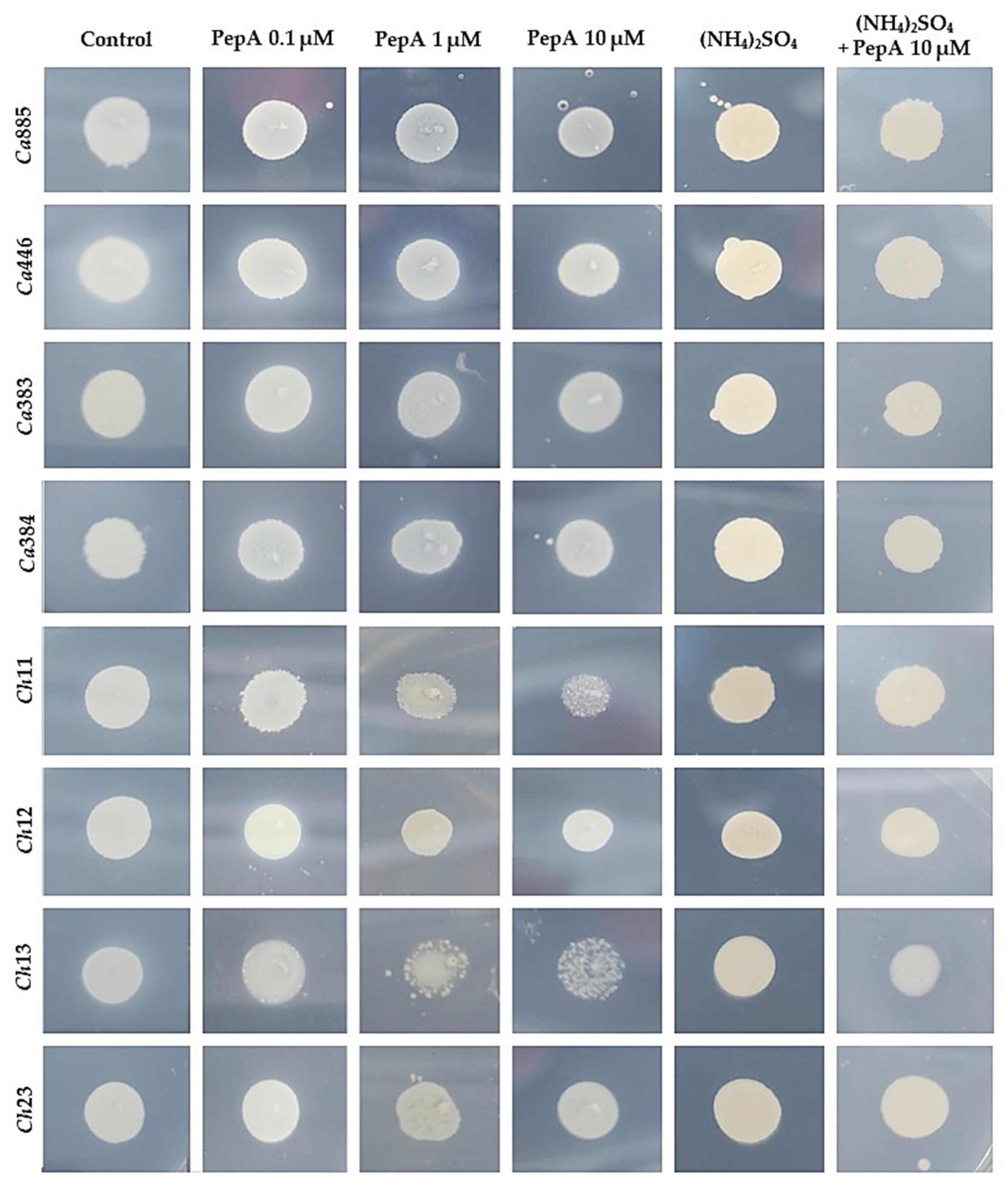 Pathogens 14 00873 g003 Pathogens 14 00873 g003