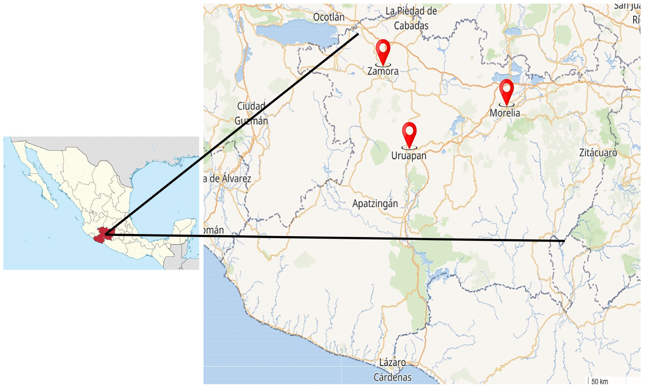 Pathogens 14 00886 g002 Pathogens 14 00886 g002