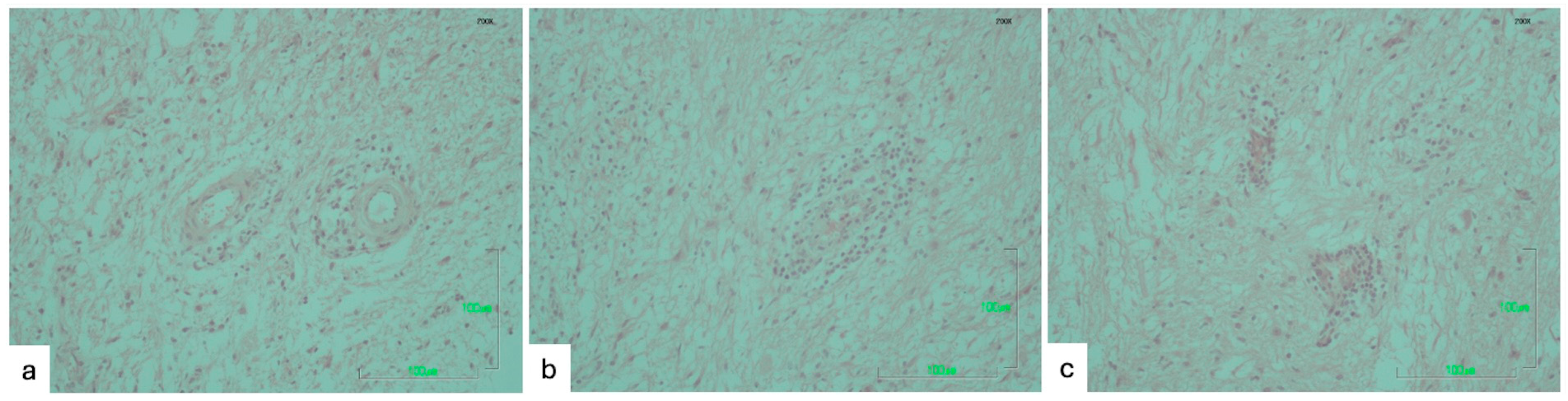 Pathogens 14 00905 g003 Pathogens 14 00905 g003