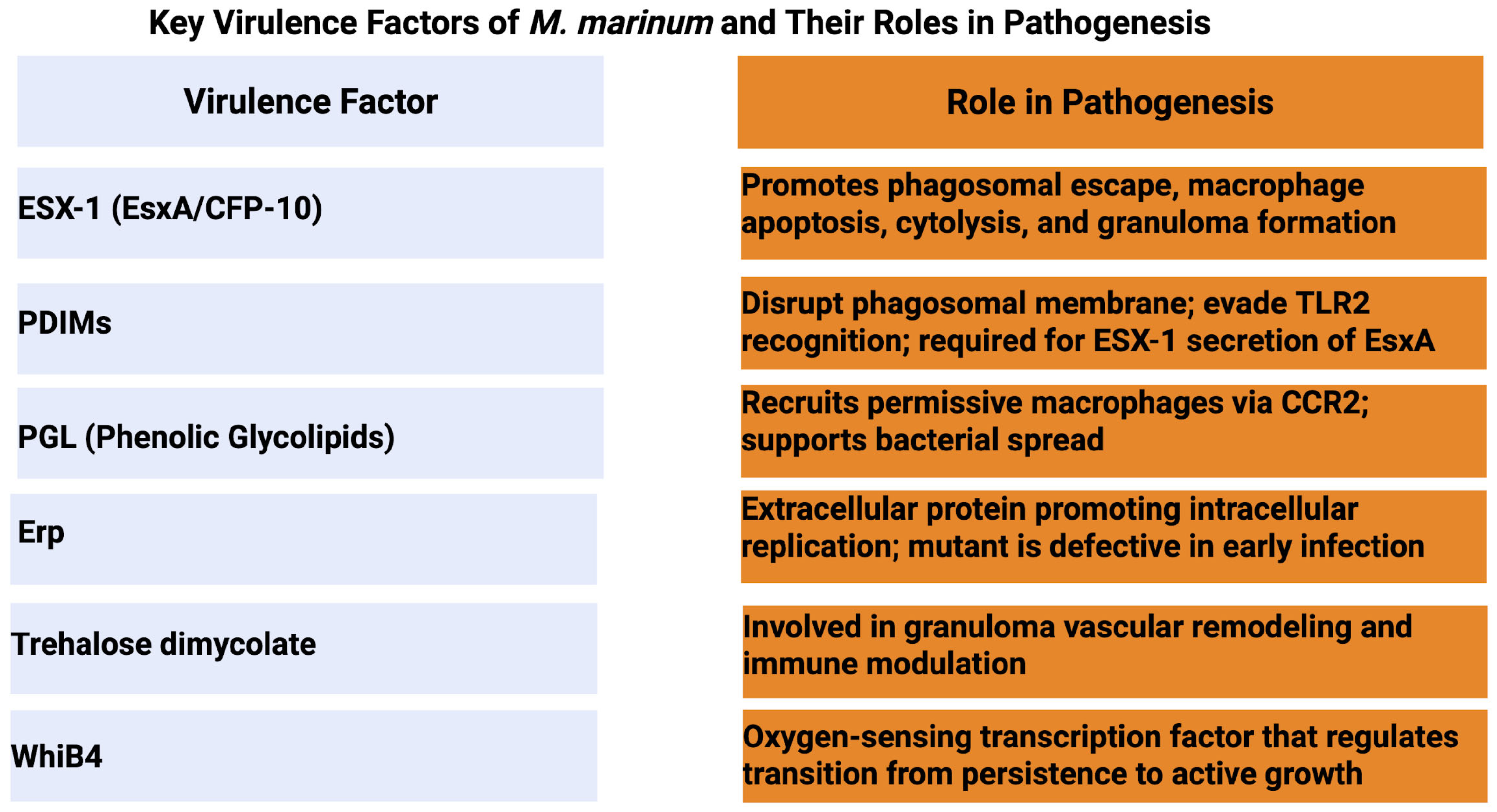 Pathogens 14 00908 g002 Pathogens 14 00908 g002