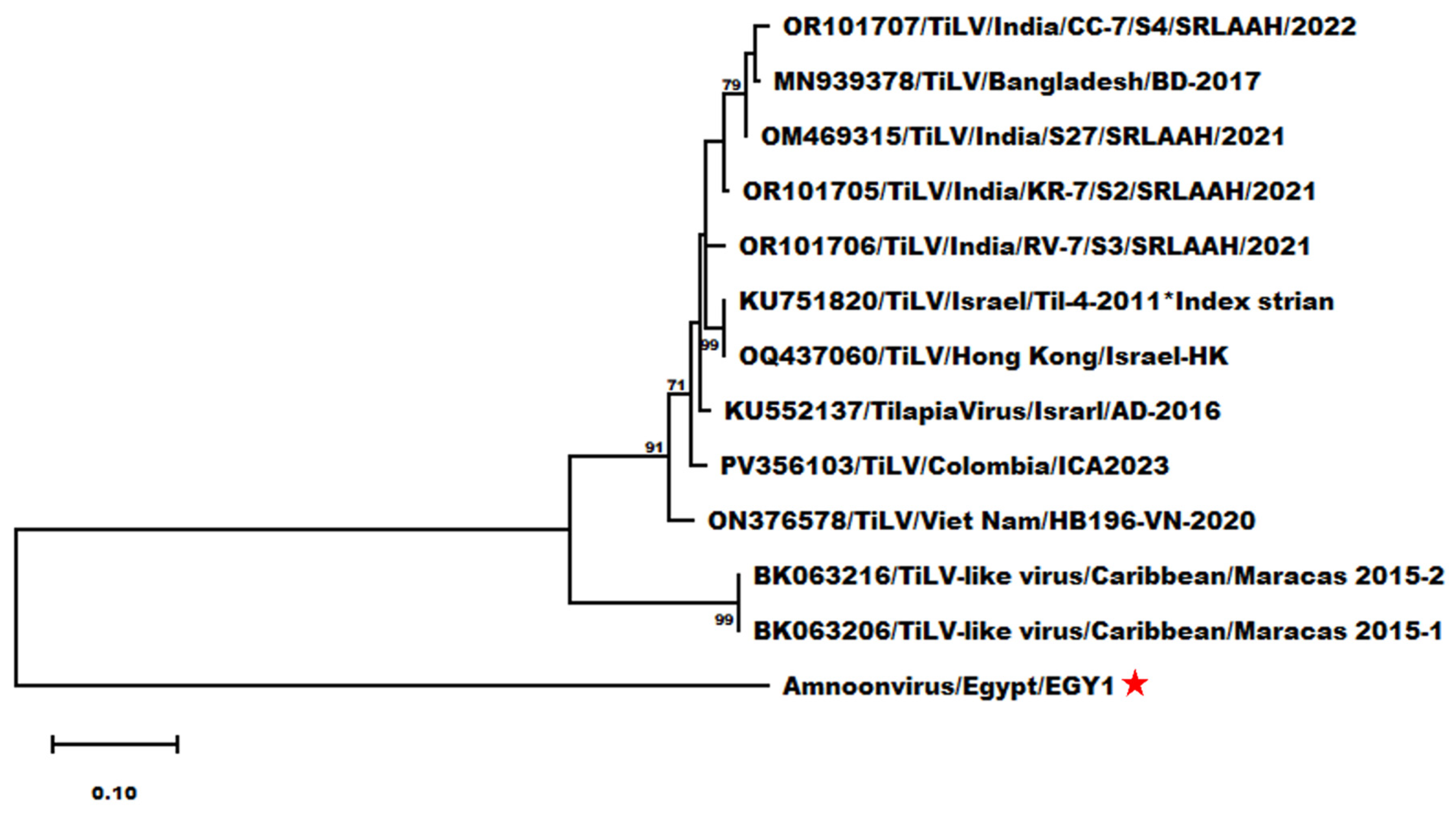 Pathogens 14 00935 g007 Pathogens 14 00935 g007