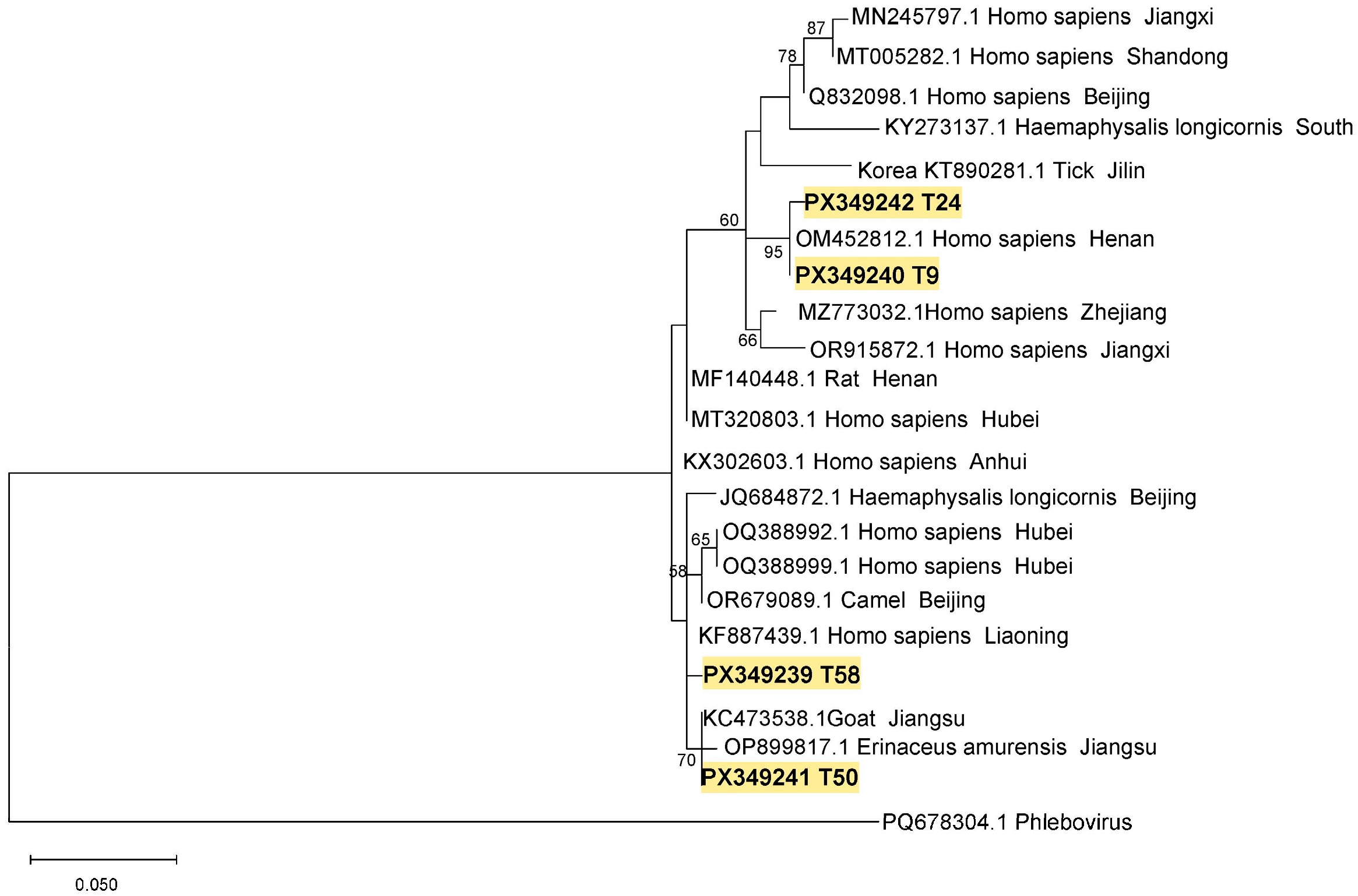 Pathogens 14 00944 g003 Pathogens 14 00944 g003