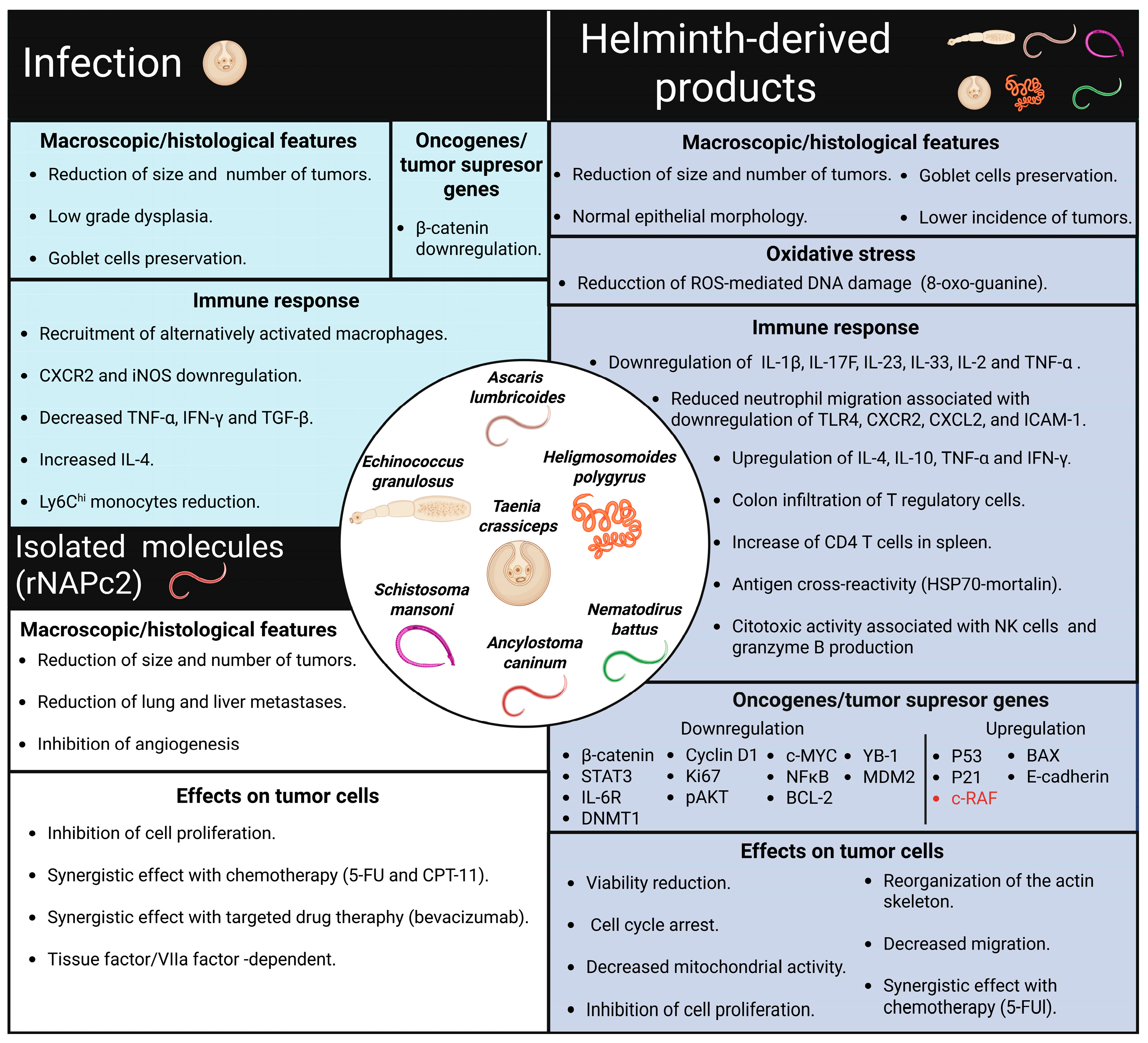 Pathogens 14 00949 g003 Pathogens 14 00949 g003