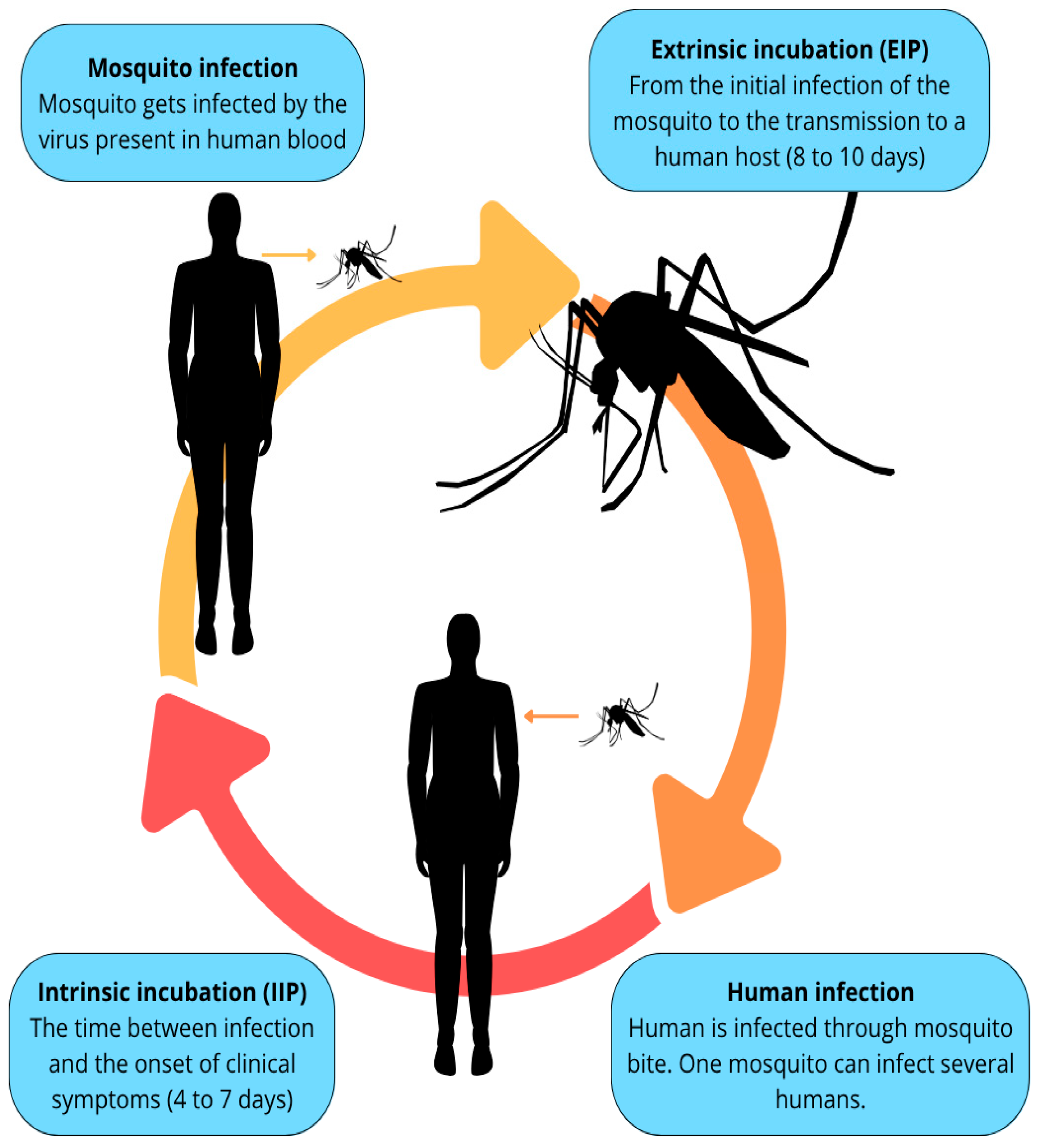 Pathogens 14 00954 g002 Pathogens 14 00954 g002