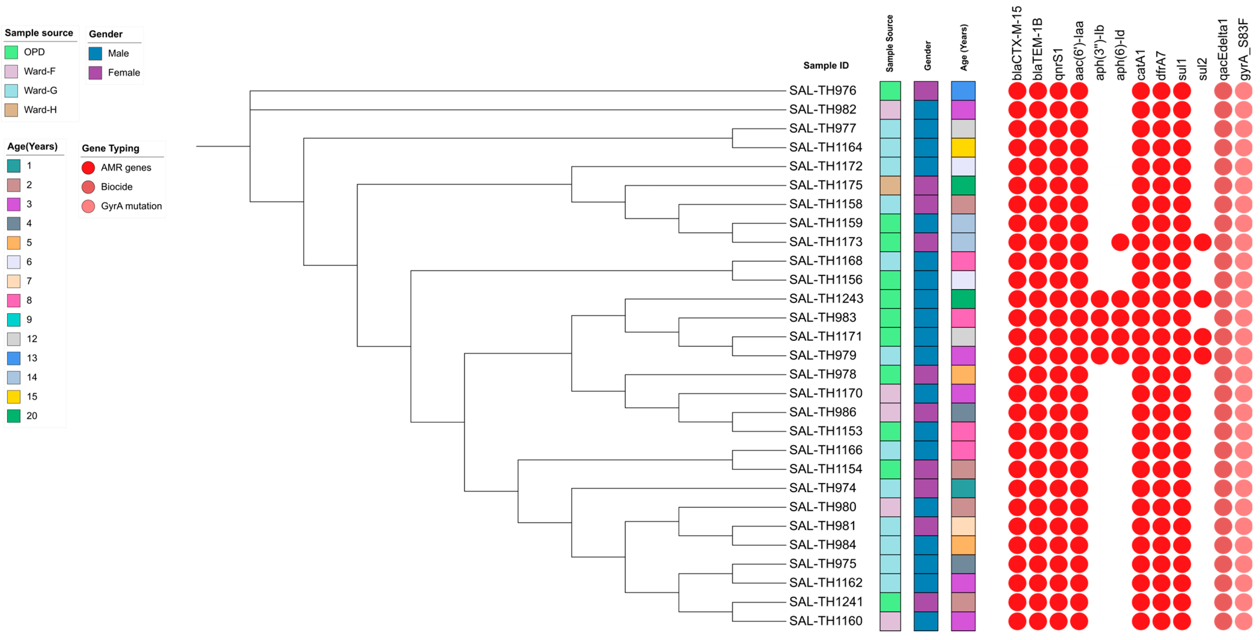 Pathogens 14 00967 g002 Pathogens 14 00967 g002