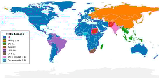Pathogens 14 00975 g002