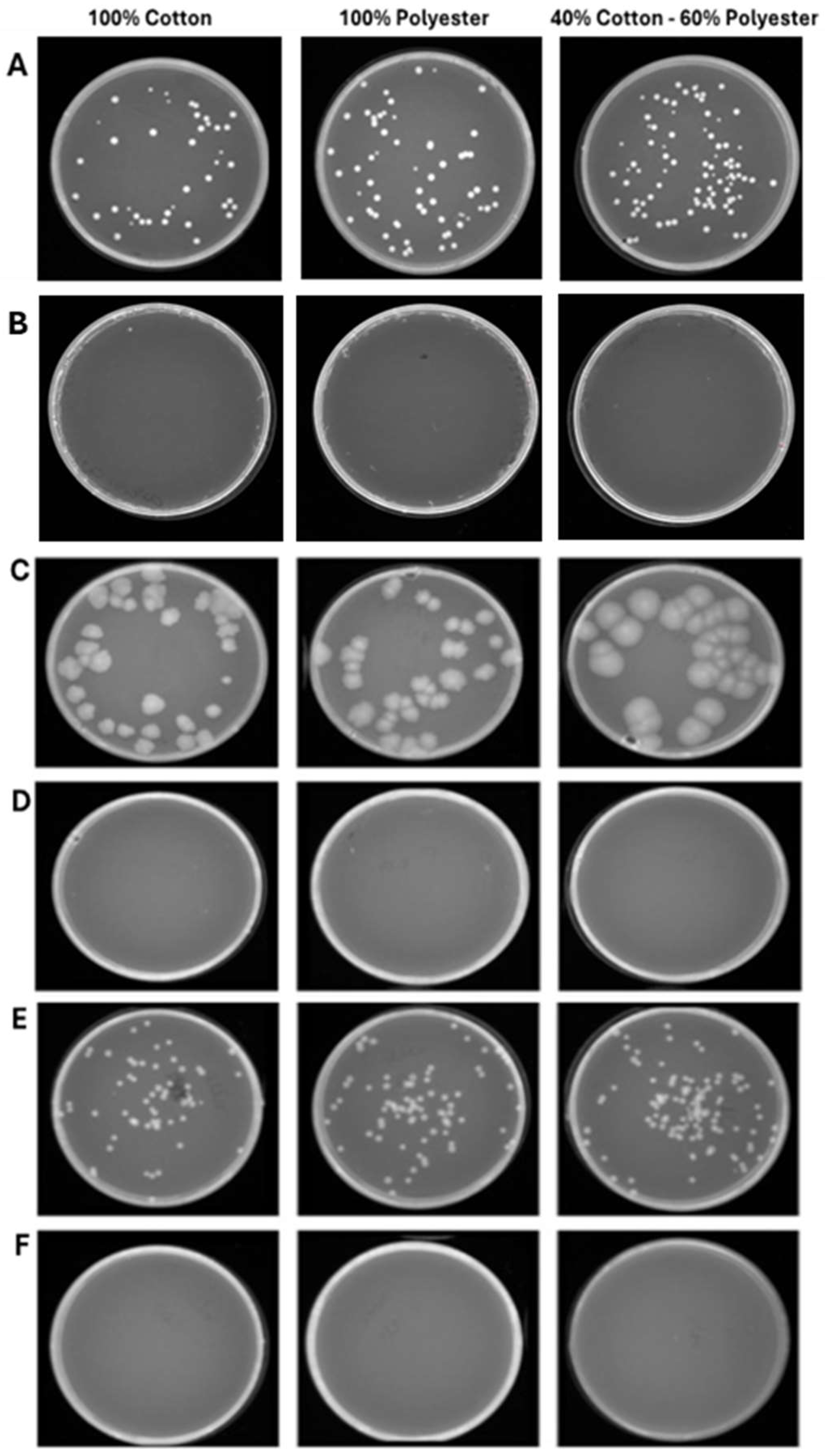 Pathogens 14 00977 g006 Pathogens 14 00977 g006