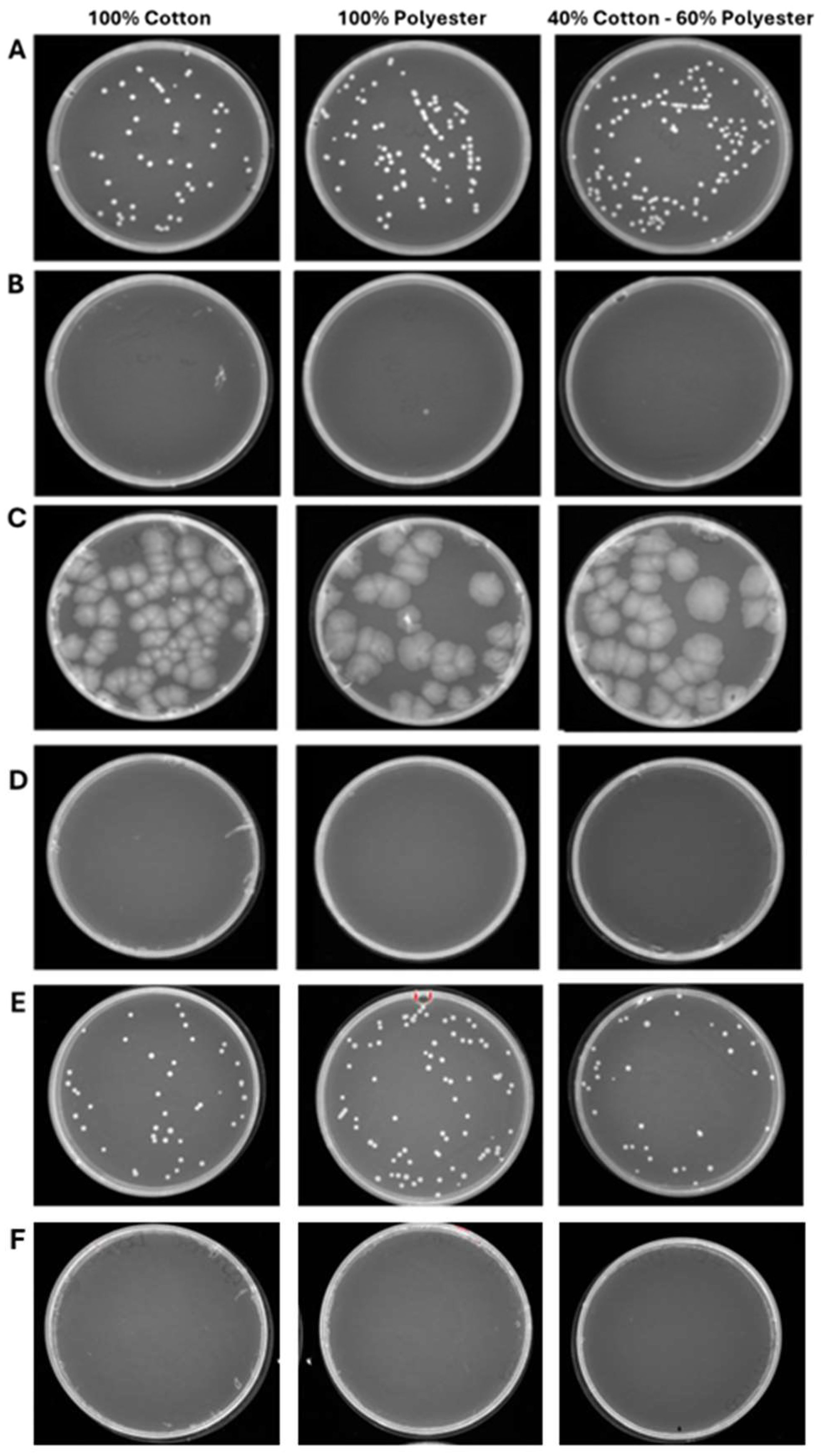 Pathogens 14 00977 g007 Pathogens 14 00977 g007