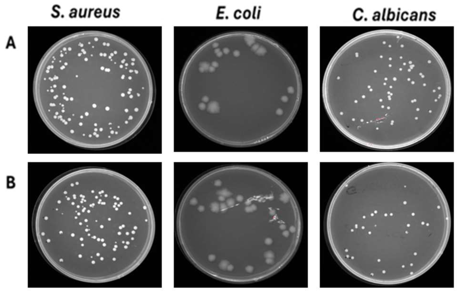 Pathogens 14 00977 g008 Pathogens 14 00977 g008