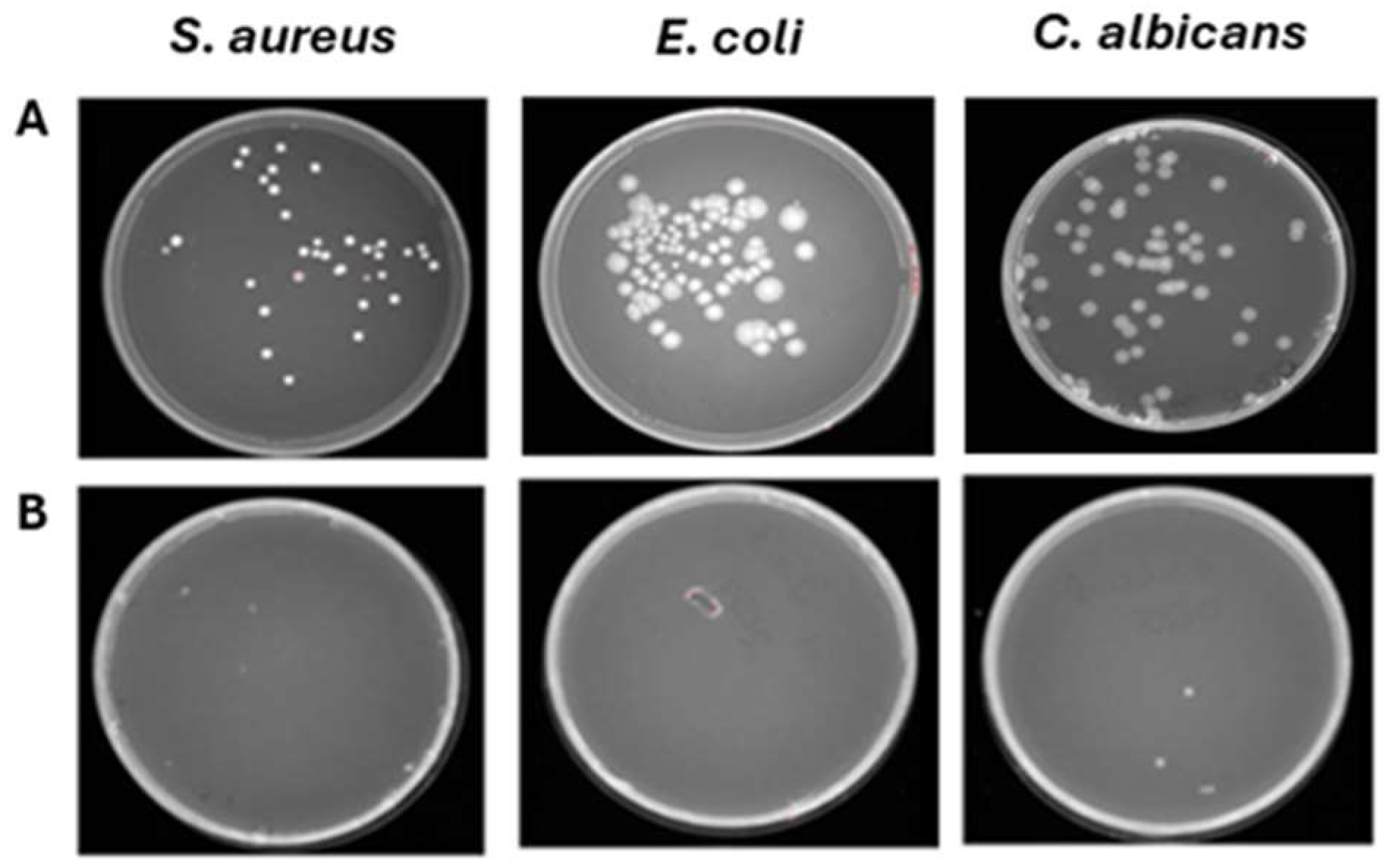 Pathogens 14 00977 g009 Pathogens 14 00977 g009