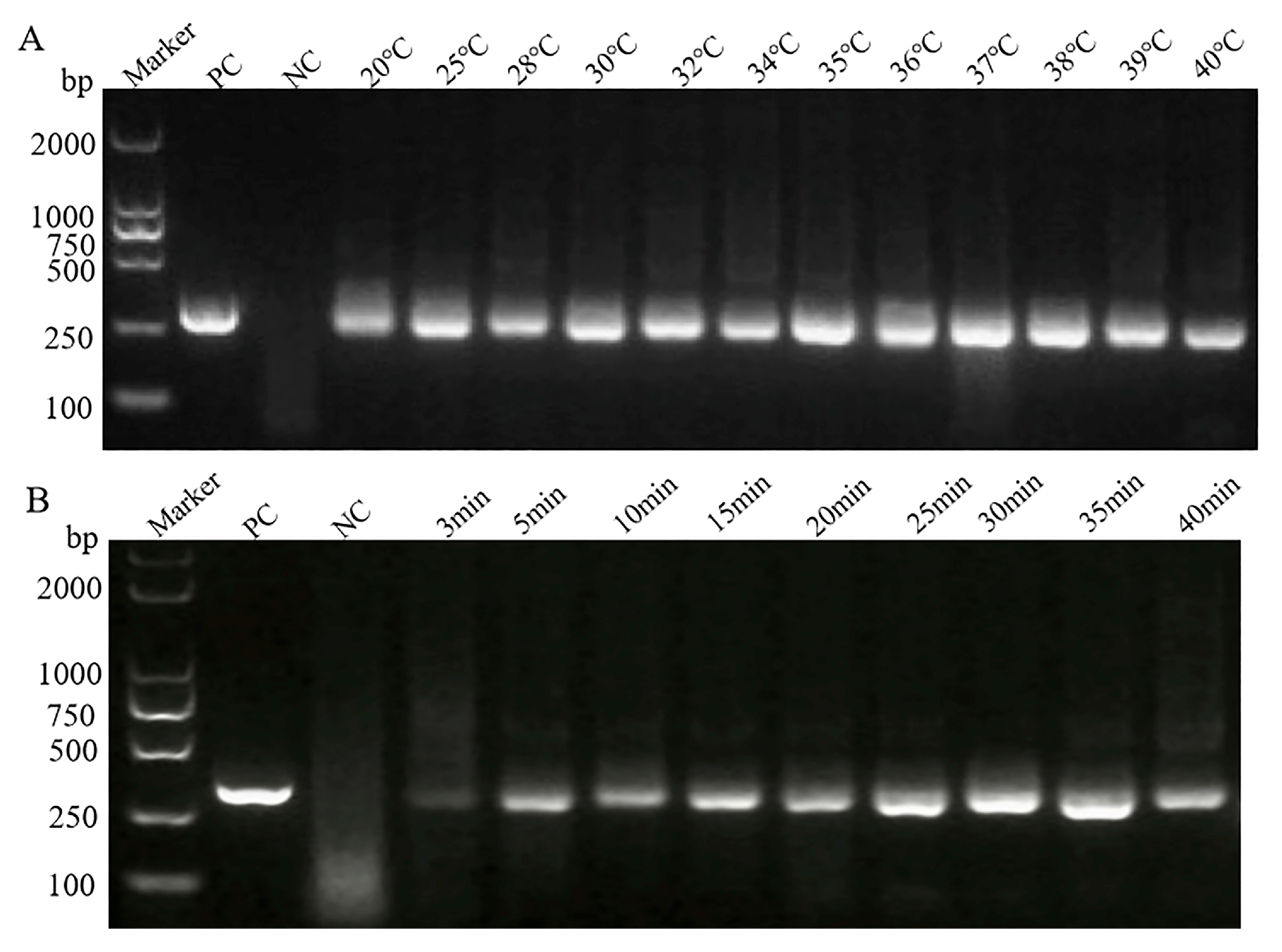 Pathogens 14 00980 g002 Pathogens 14 00980 g002