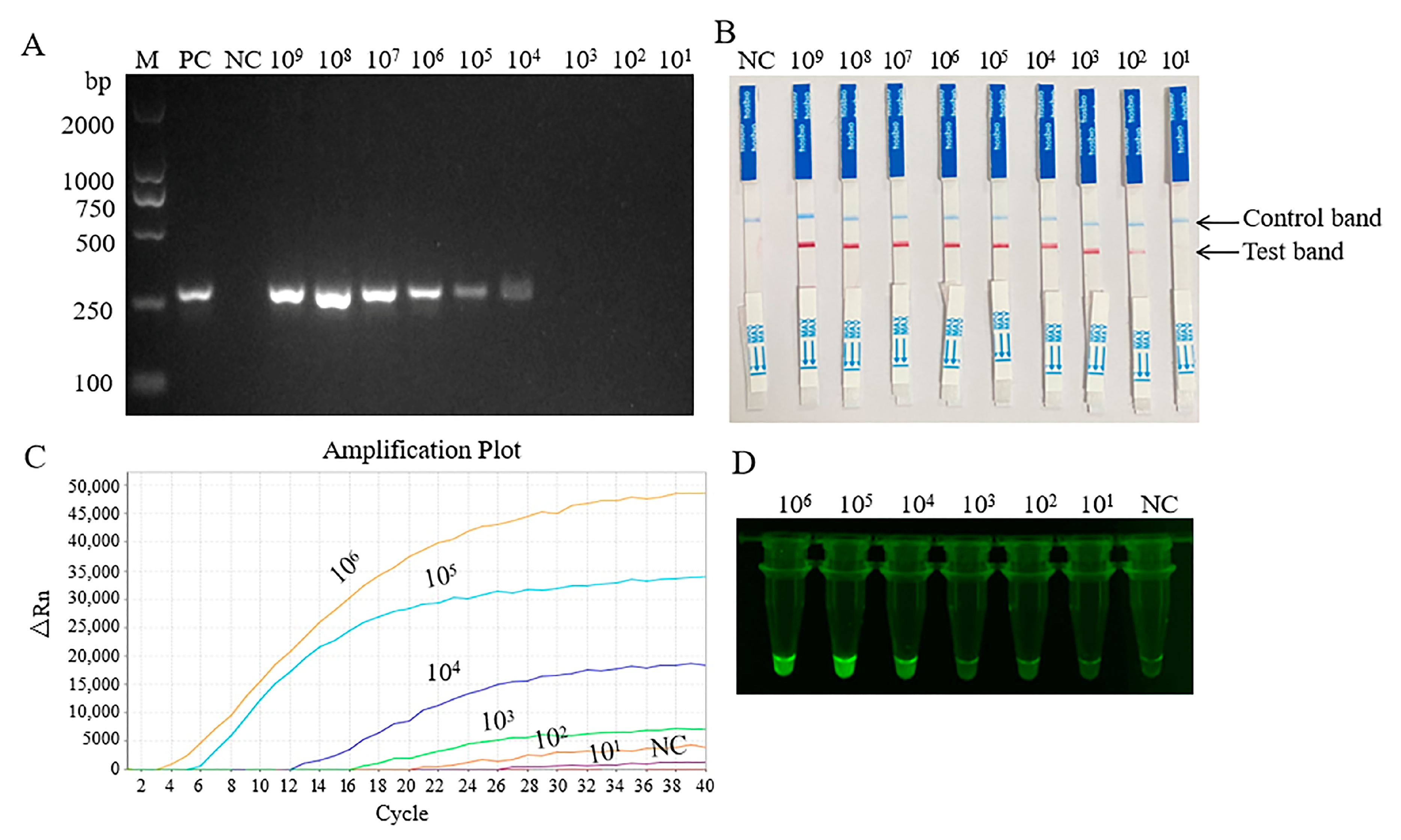 Pathogens 14 00980 g004 Pathogens 14 00980 g004