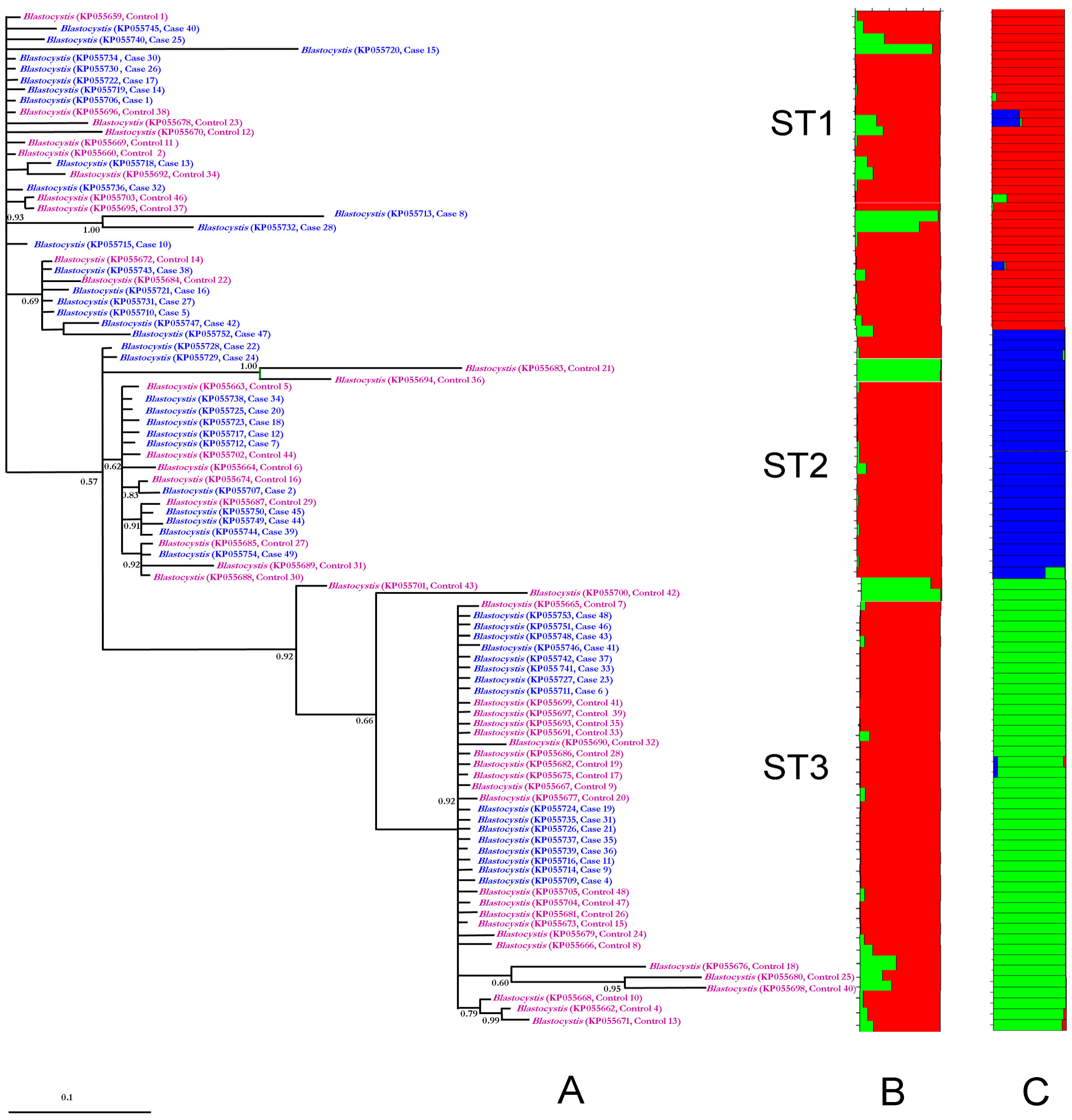 Pathogens 14 01009 g001
