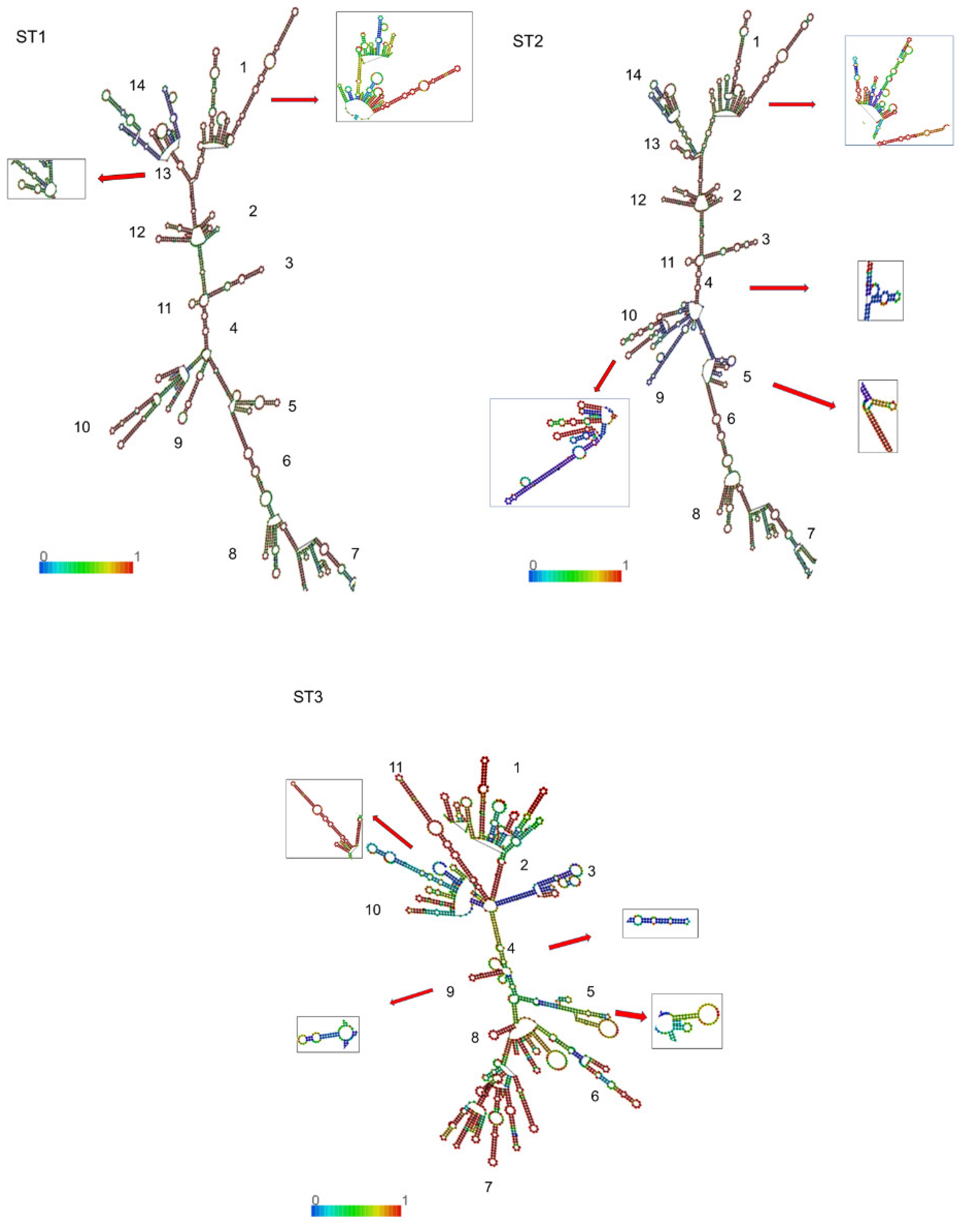Pathogens 14 01009 g003