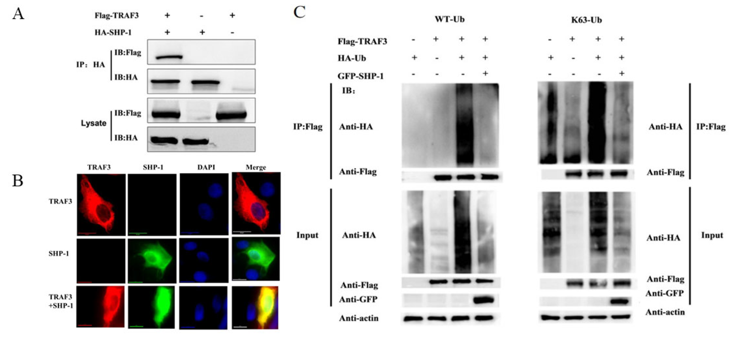 Pathogens 14 01014 g004 Pathogens 14 01014 g004