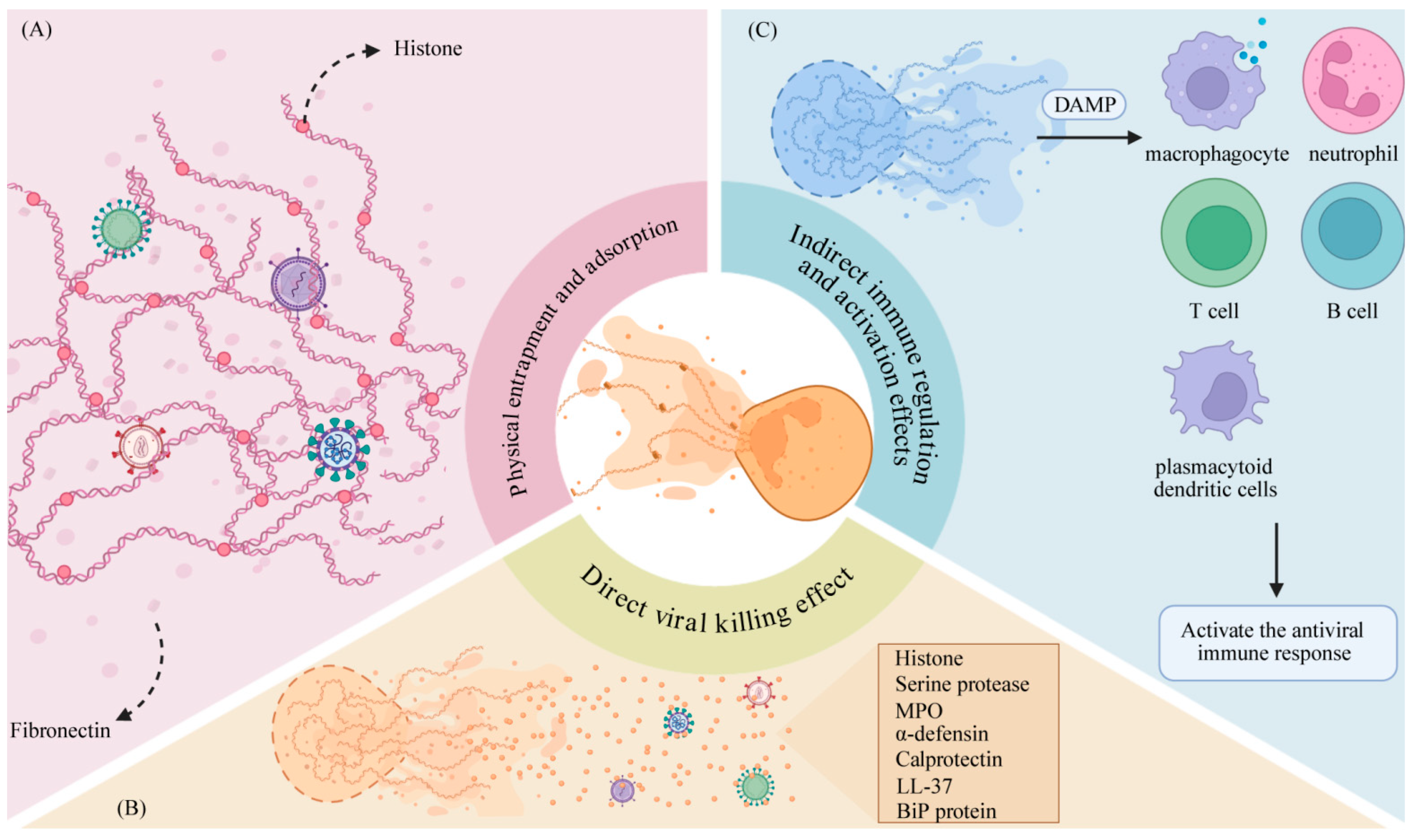 Pathogens 14 01018 g001