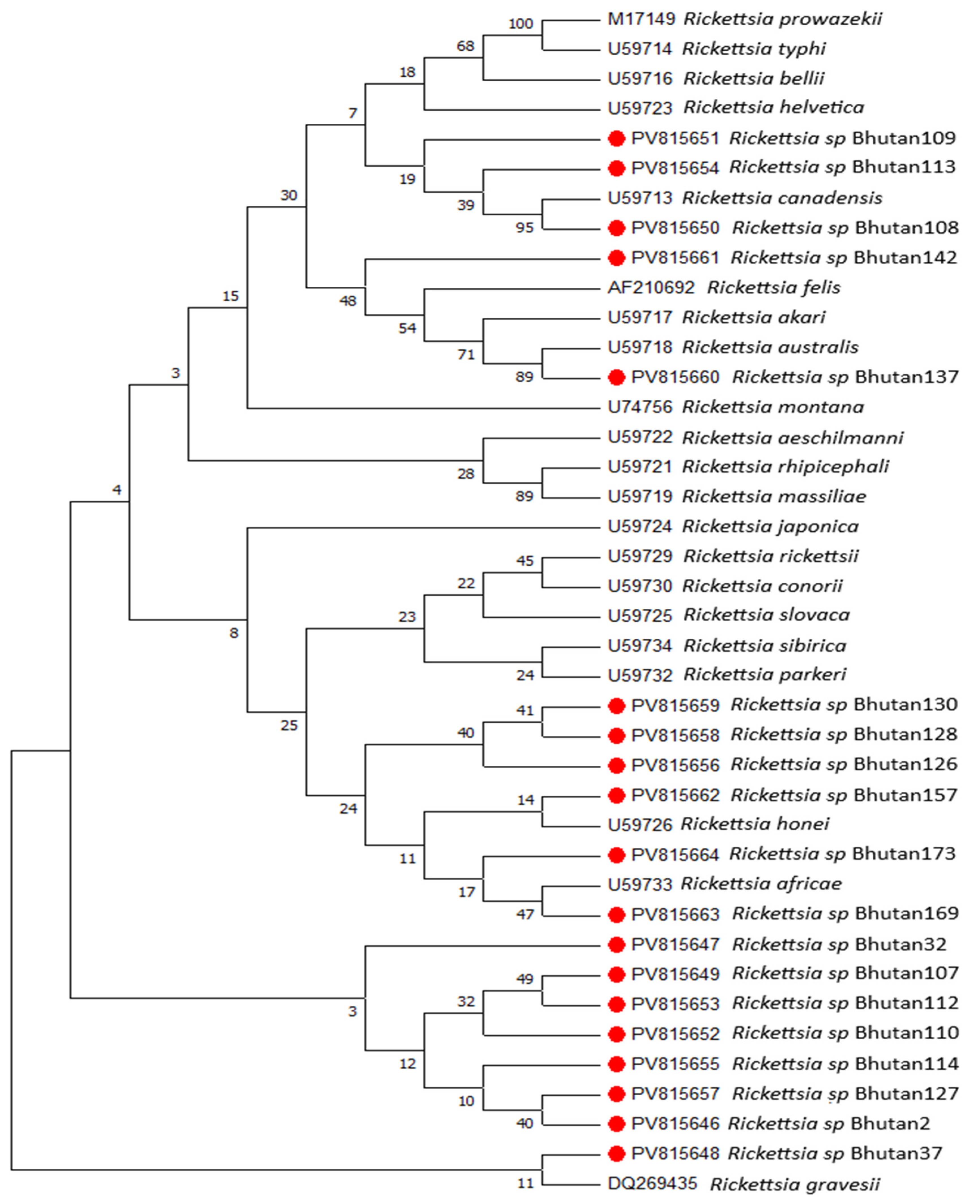 Pathogens 14 01021 g001