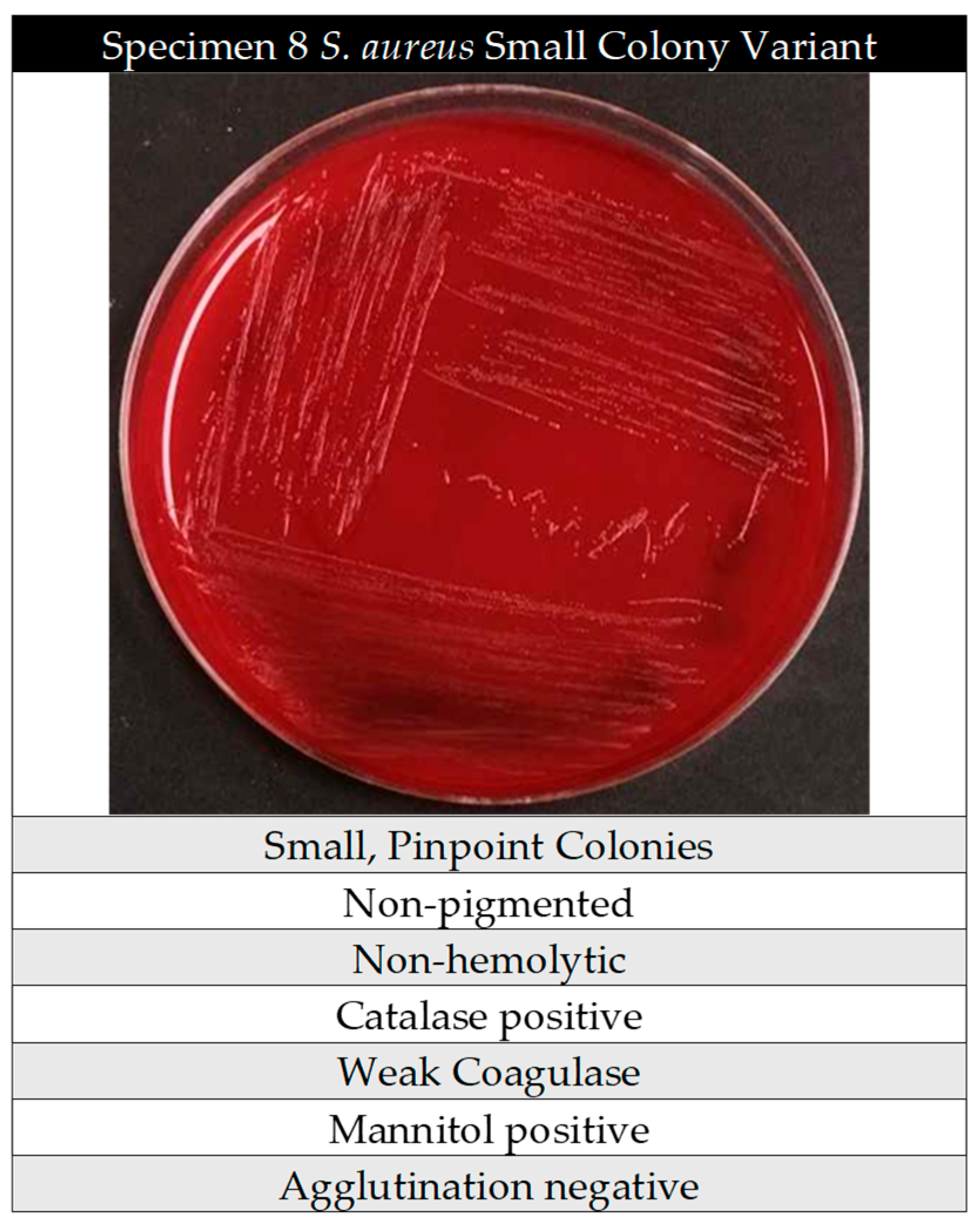 Pathogens 14 01023 g004