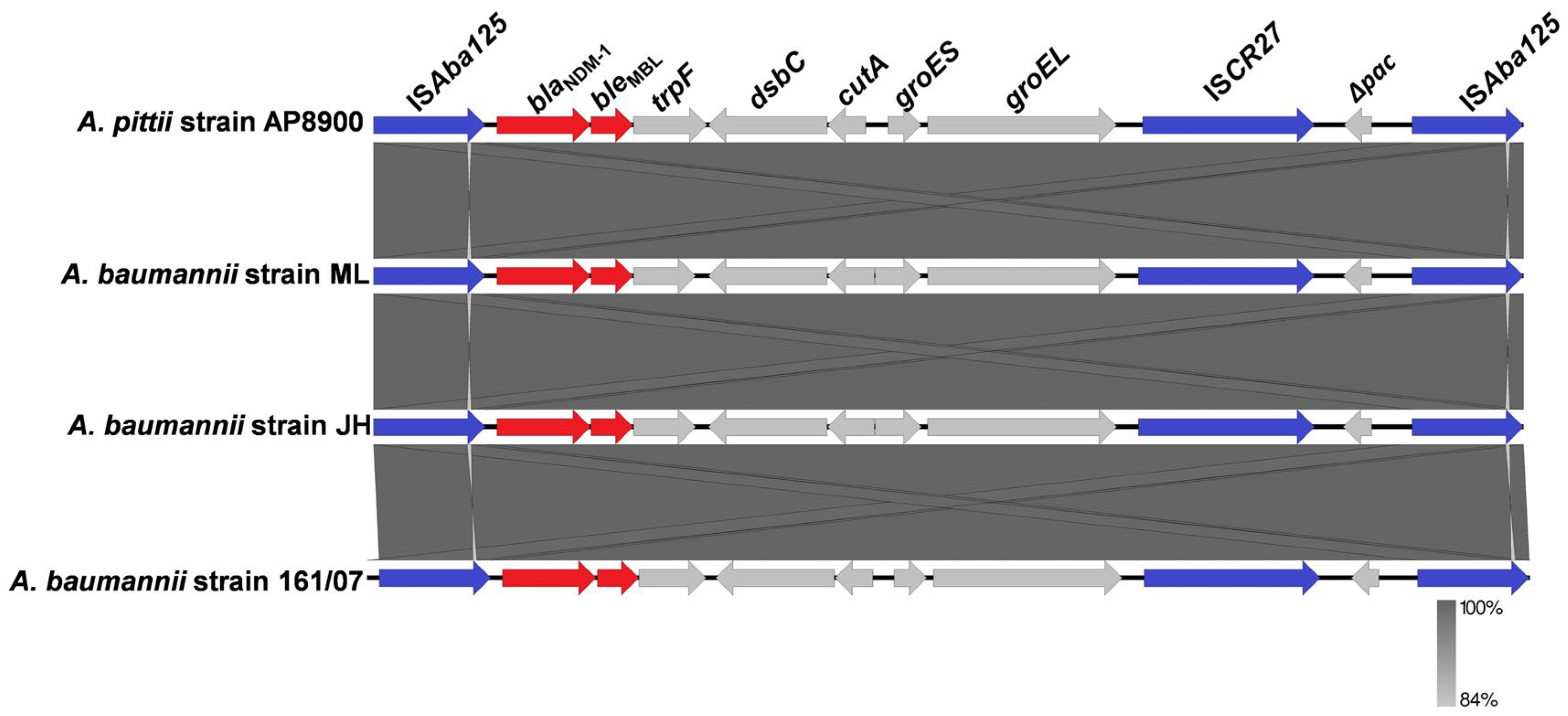 Pathogens 14 01037 g001
