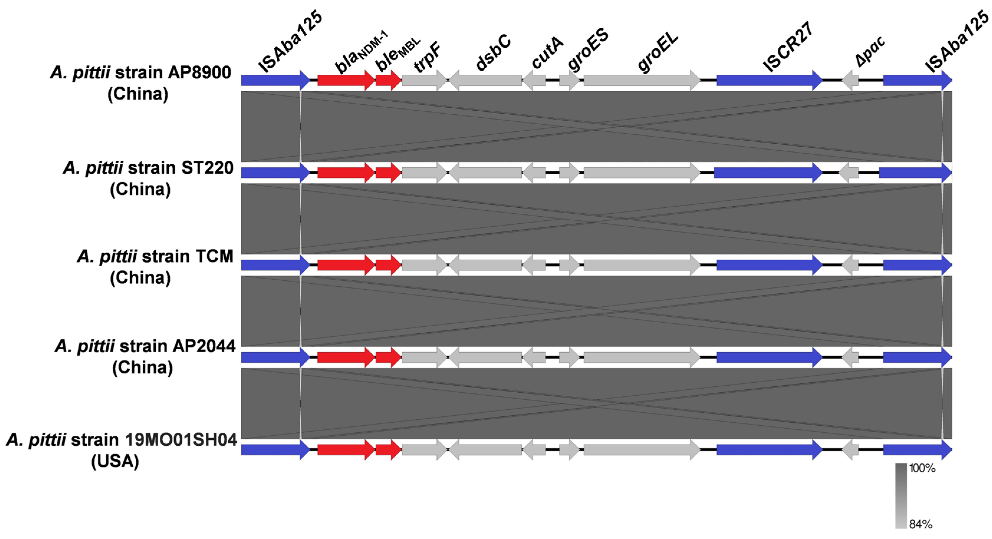 Pathogens 14 01037 g003