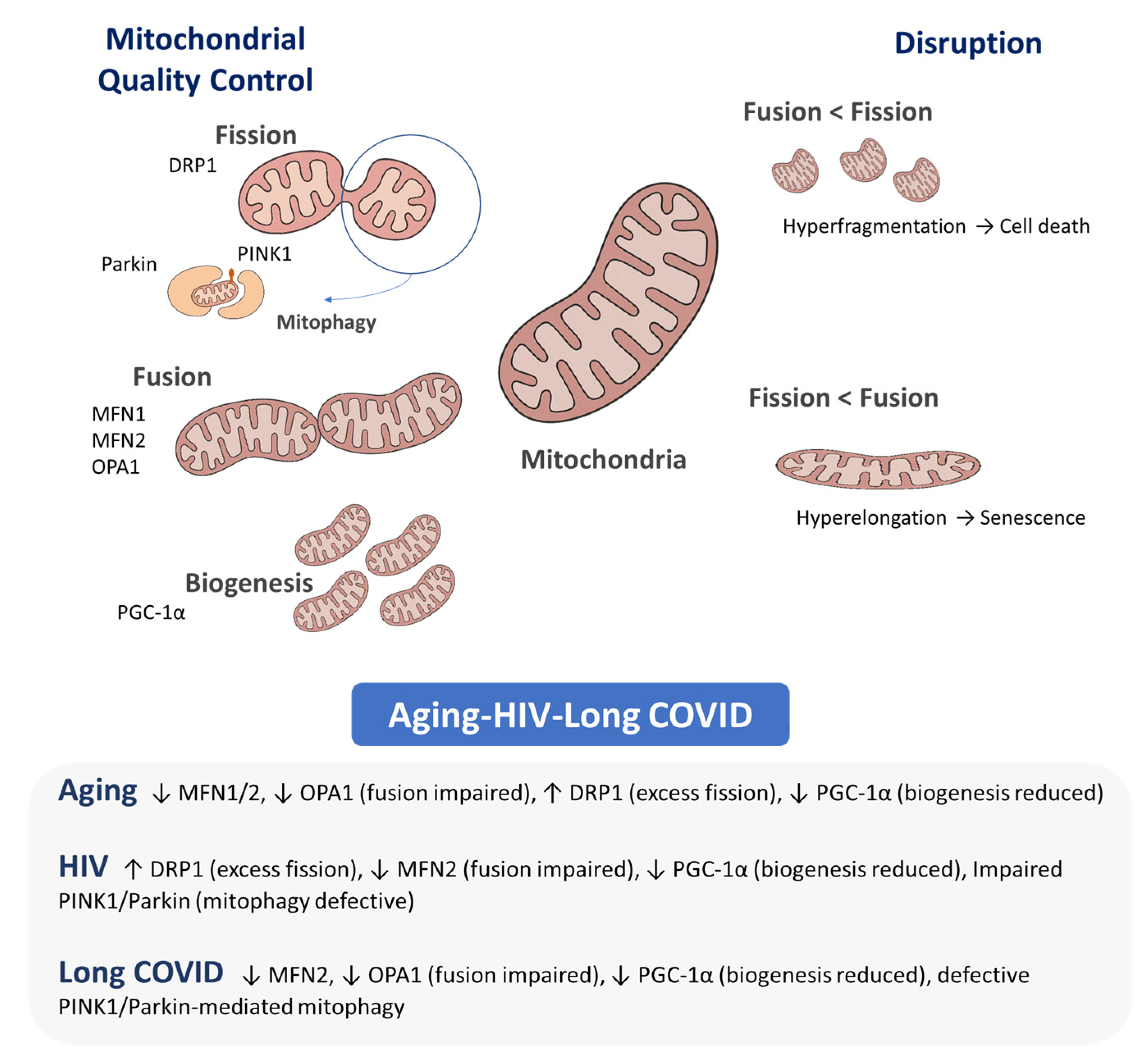 Pathogens 14 01045 g001