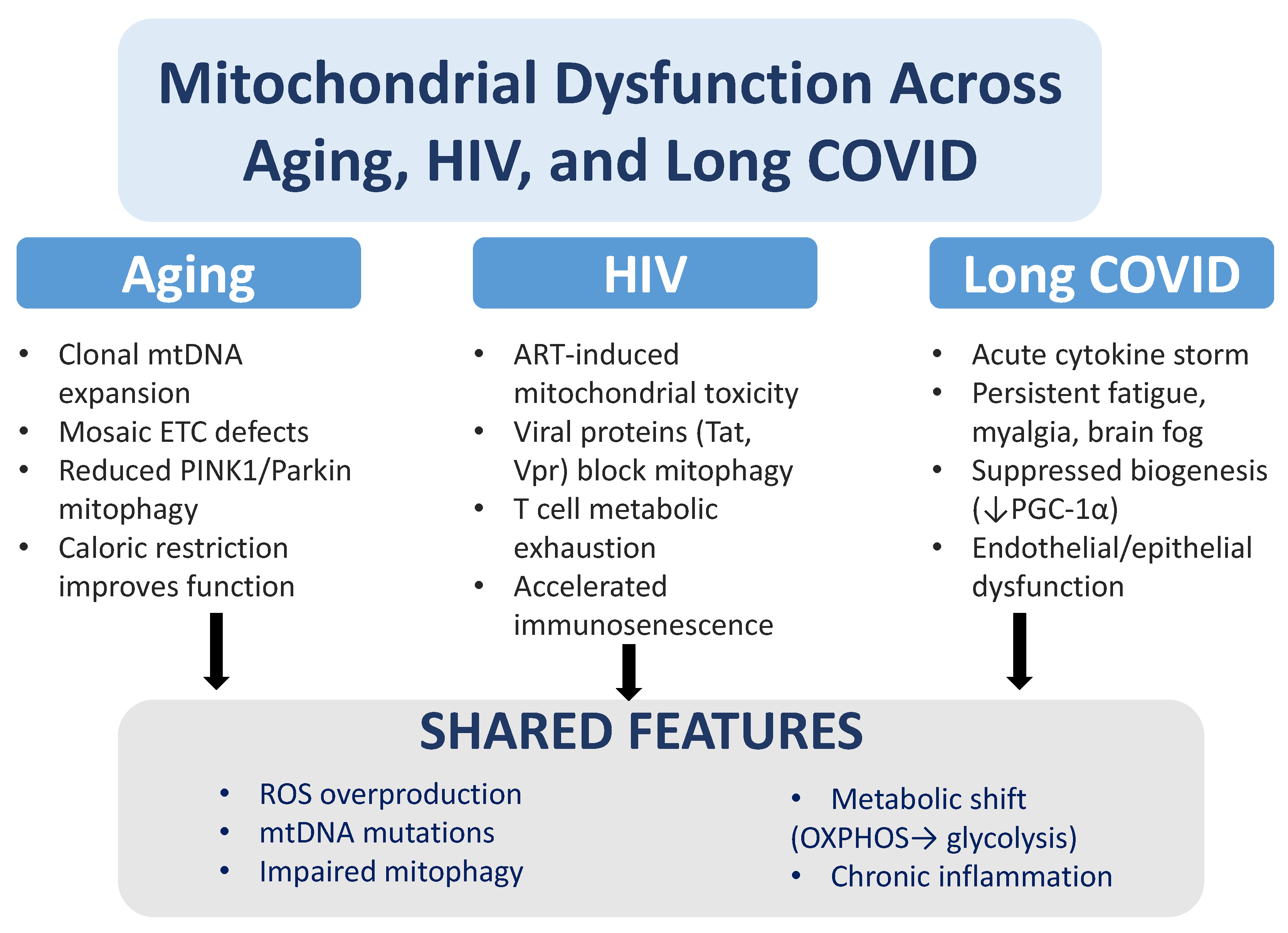 Pathogens 14 01045 g002