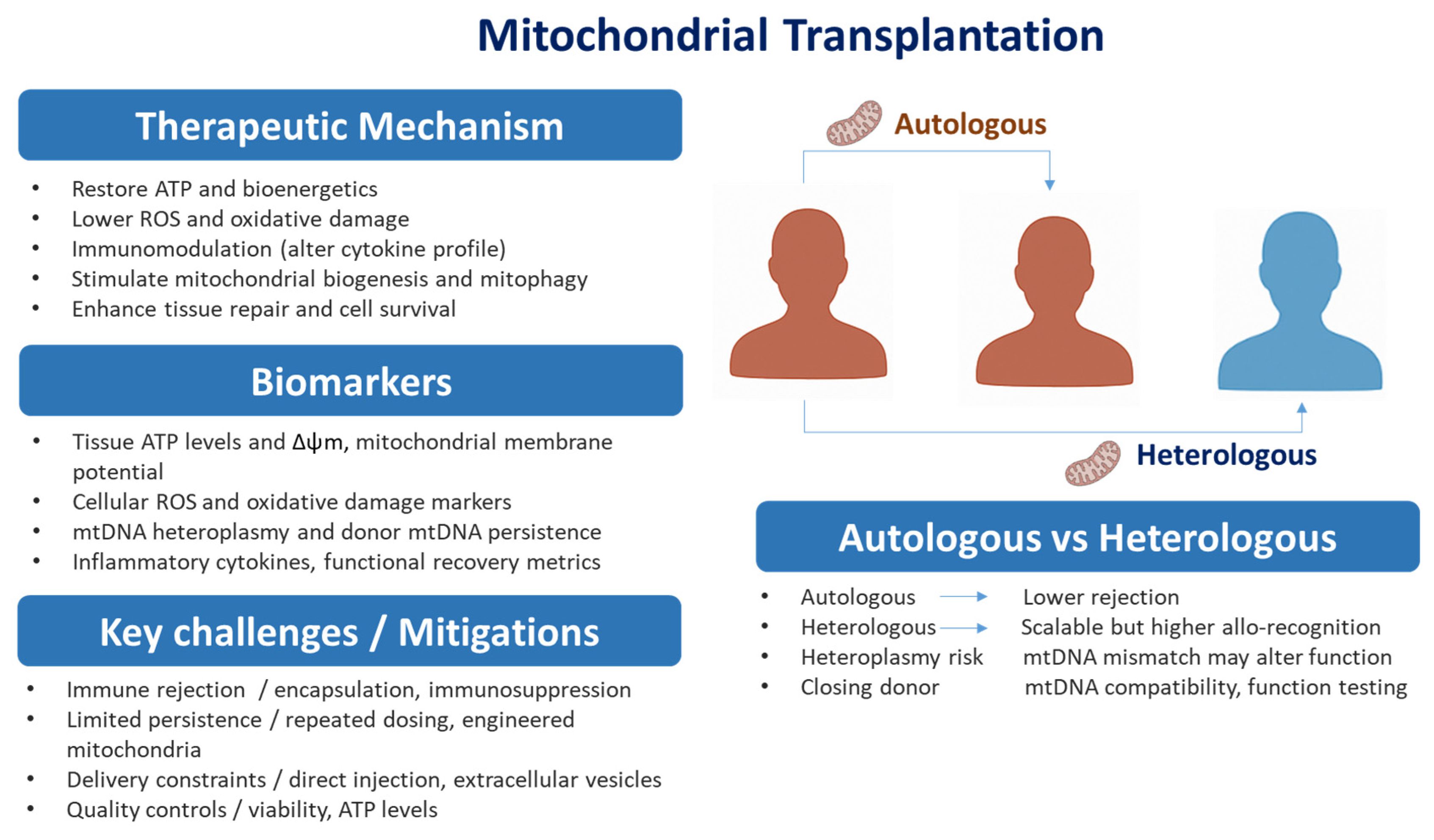 Pathogens 14 01045 g003