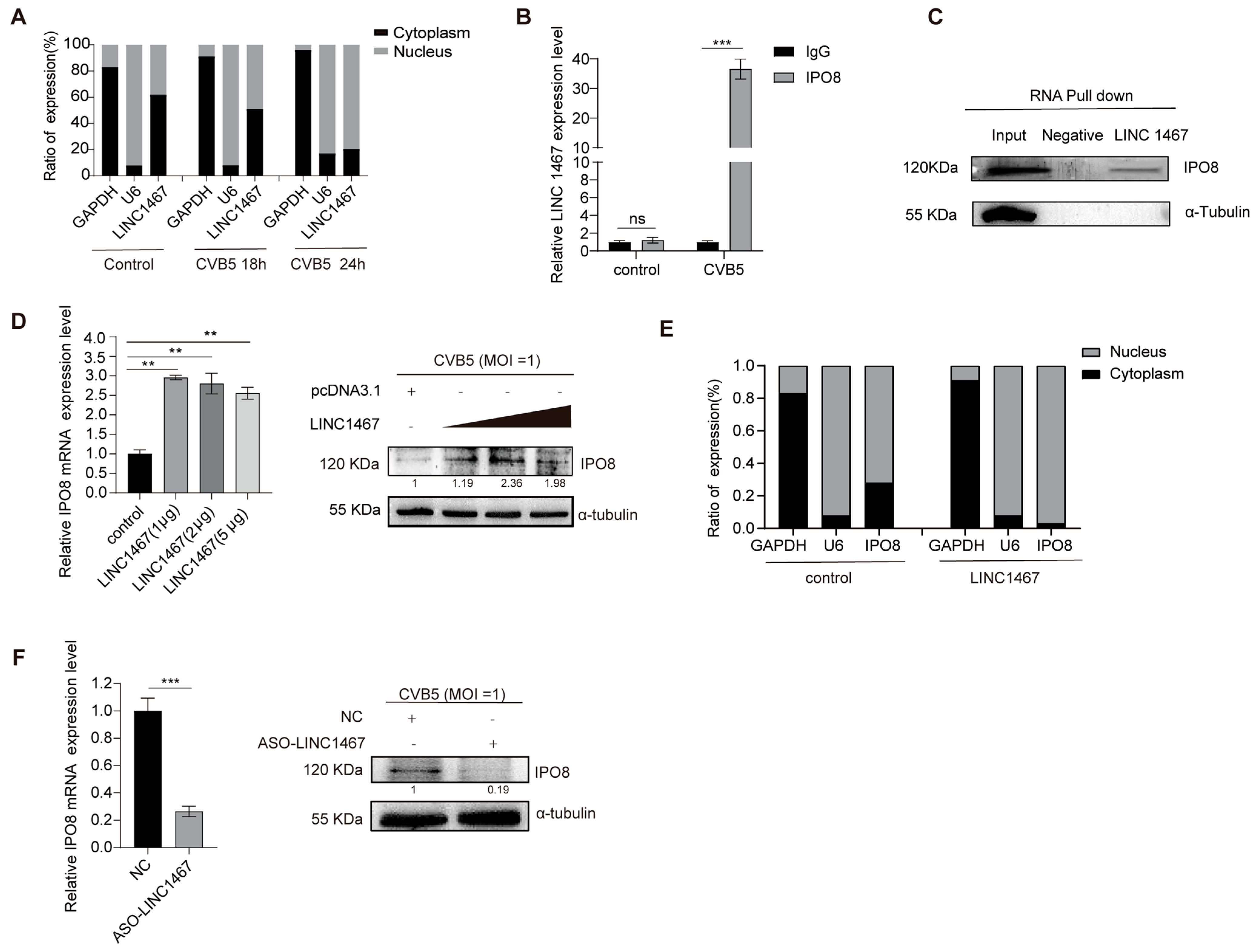 Pathogens 14 01071 g003 Pathogens 14 01071 g003