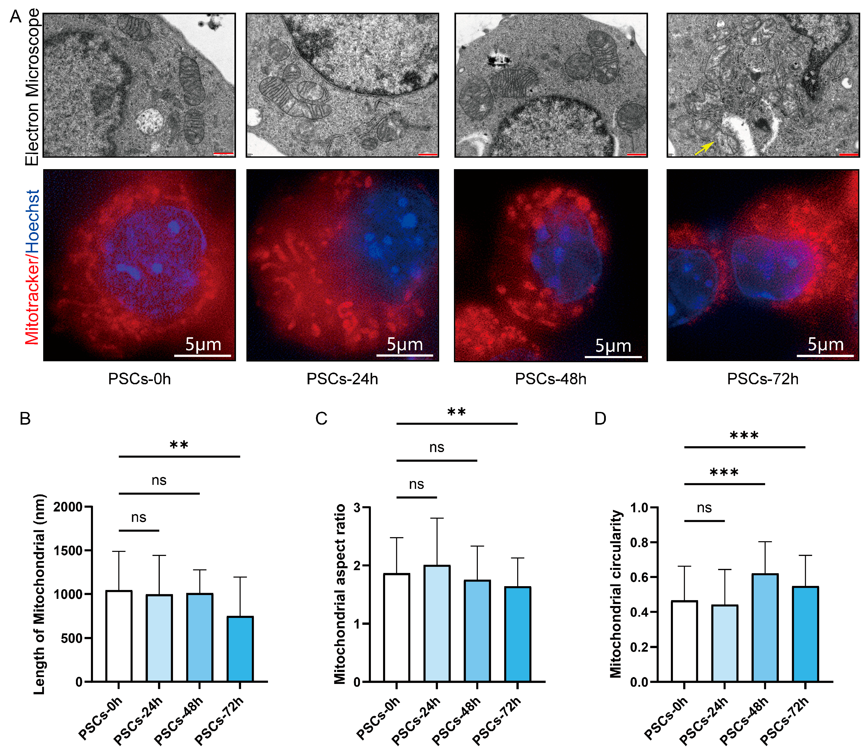 Pathogens 14 01097 g004 Pathogens 14 01097 g004