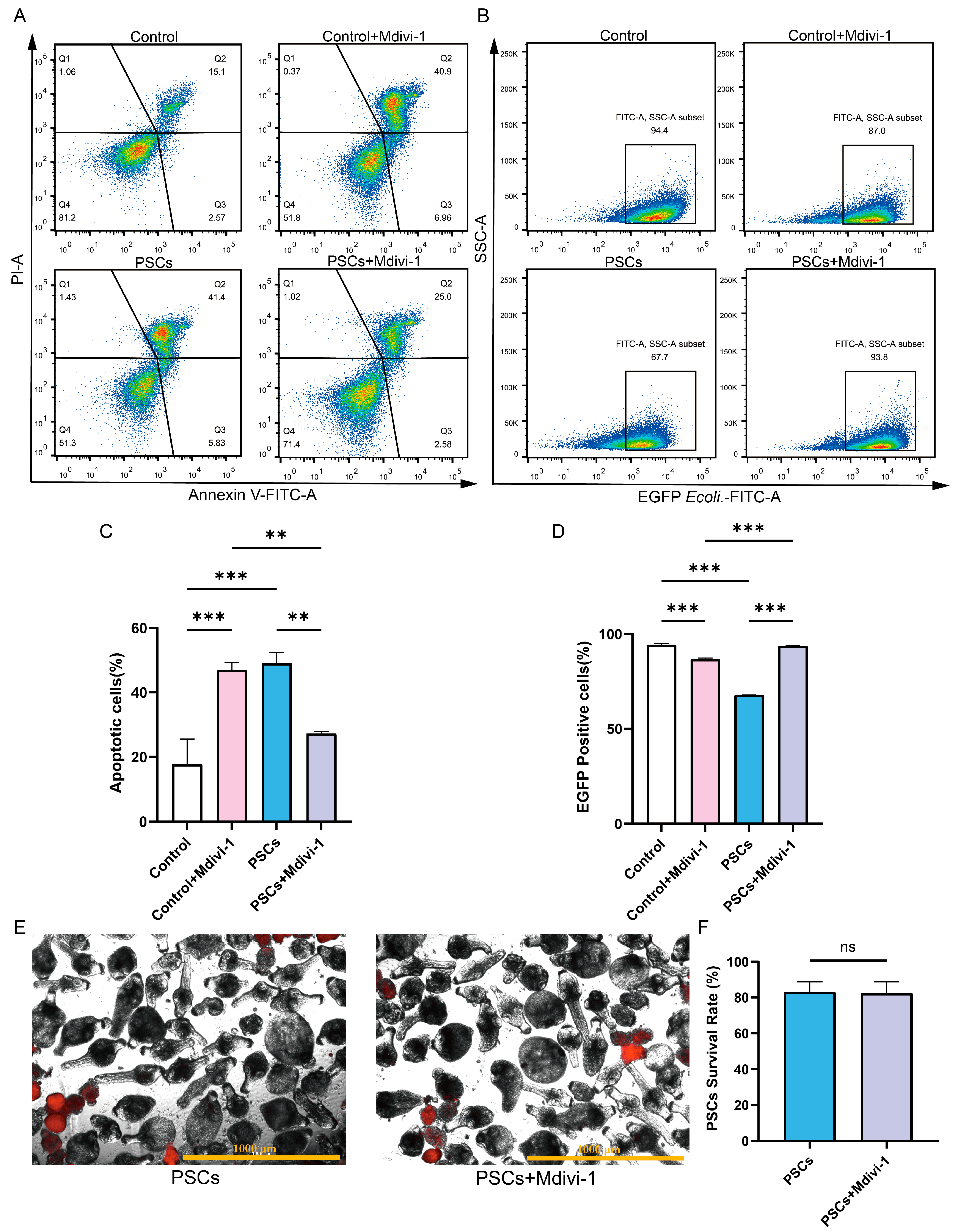 Pathogens 14 01097 g006 Pathogens 14 01097 g006