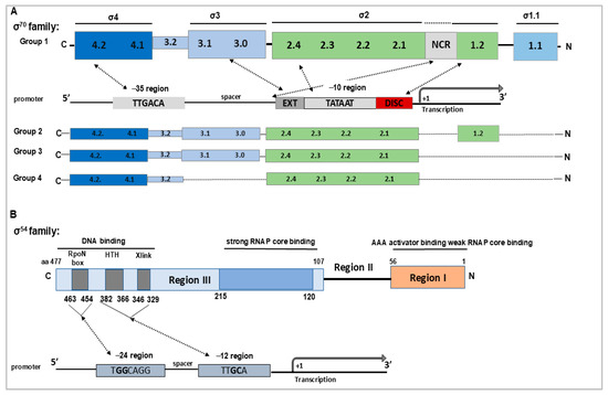 Pathogens 14 01100 g001