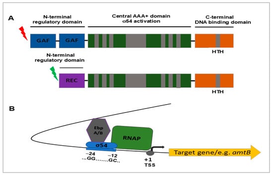 Pathogens 14 01100 g002