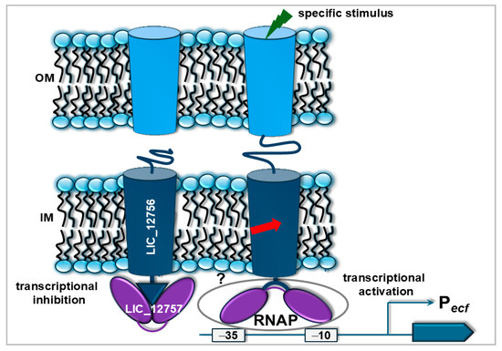 Pathogens 14 01100 g003
